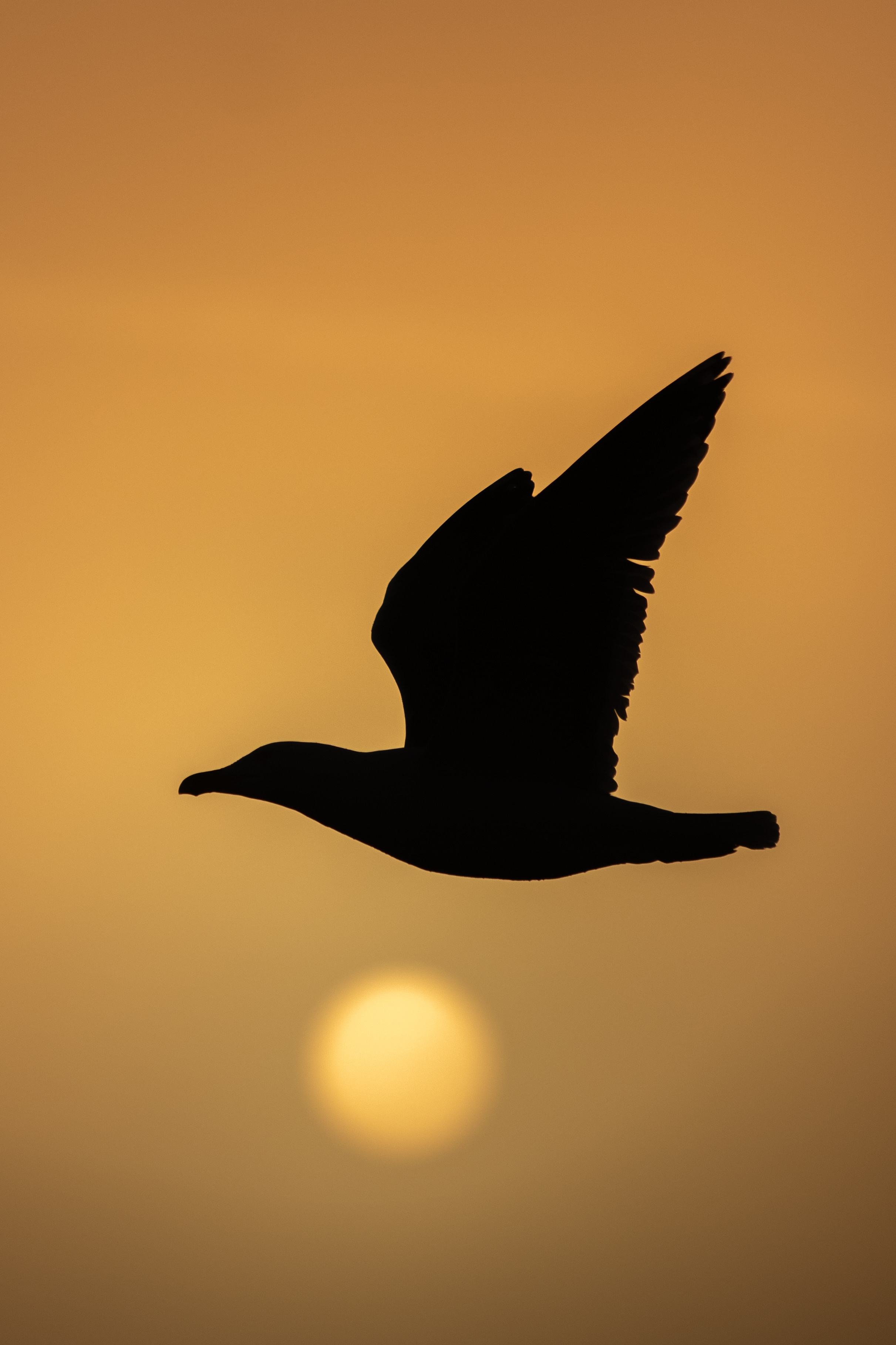 Репортаж из Тихого океана. Марк Шишкин — репортажный фотограф в Воронеже и России