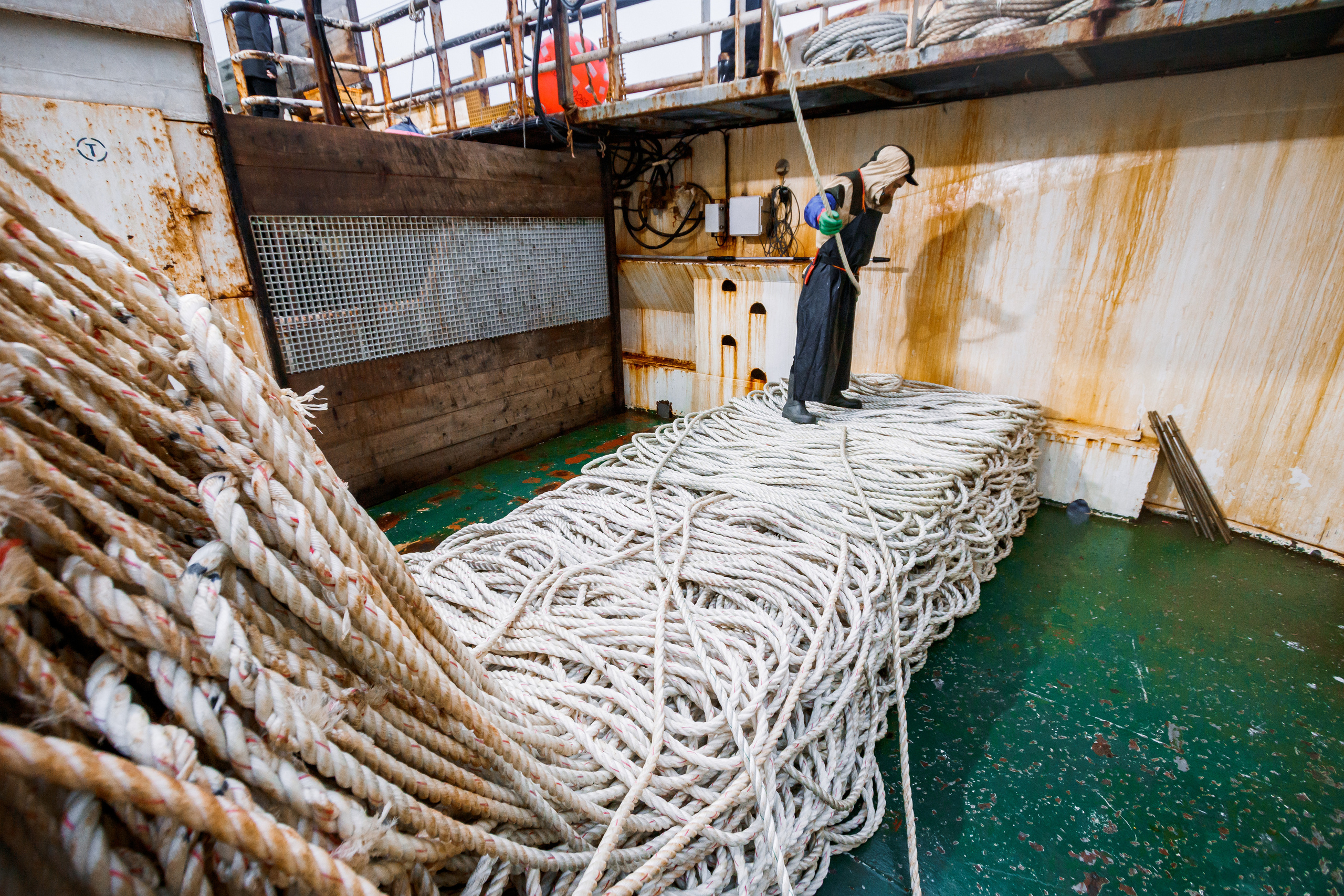Репортаж из Тихого океана. Марк Шишкин — репортажный фотограф в Воронеже и России