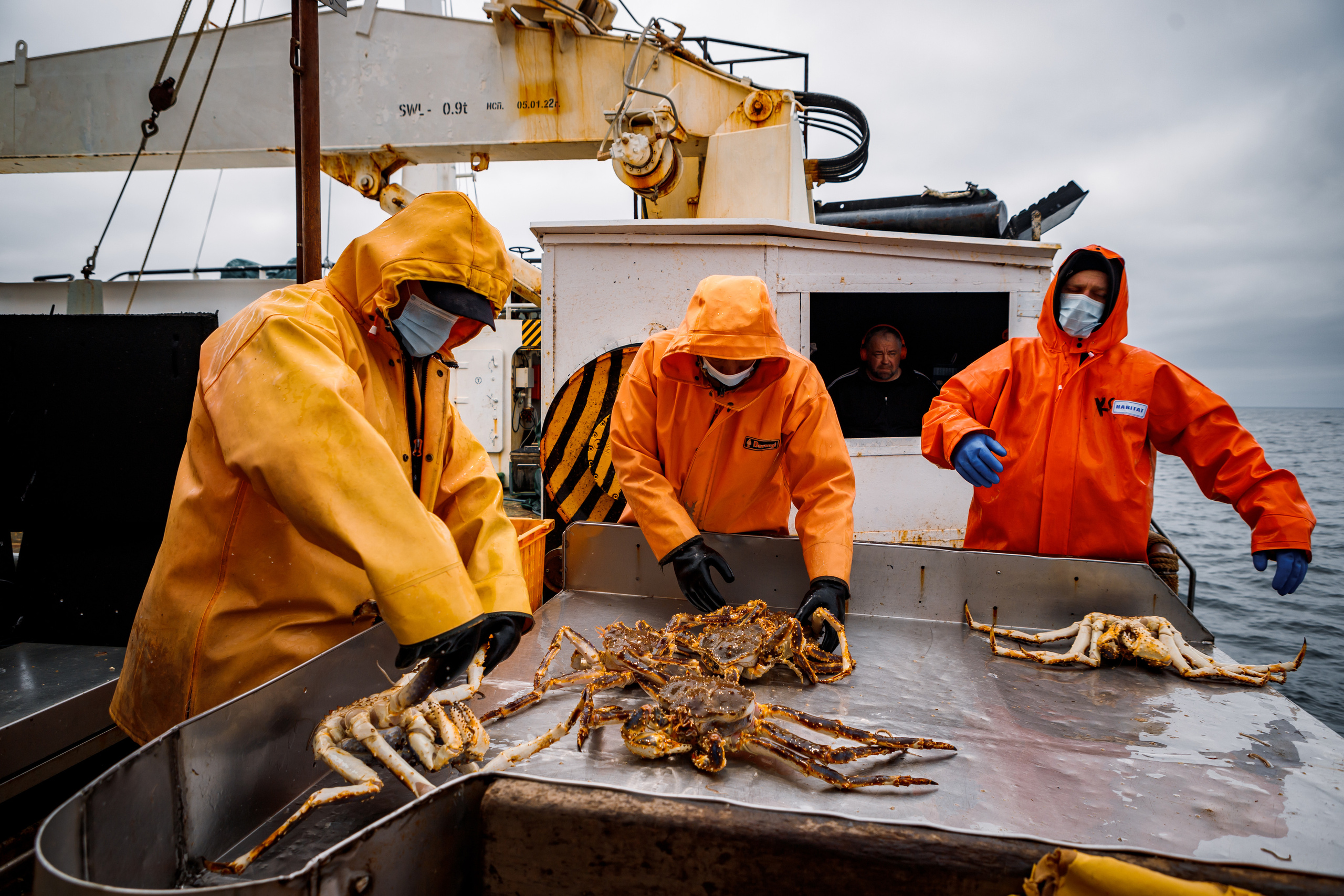Репортаж из Тихого океана. Марк Шишкин — репортажный фотограф в Воронеже и России