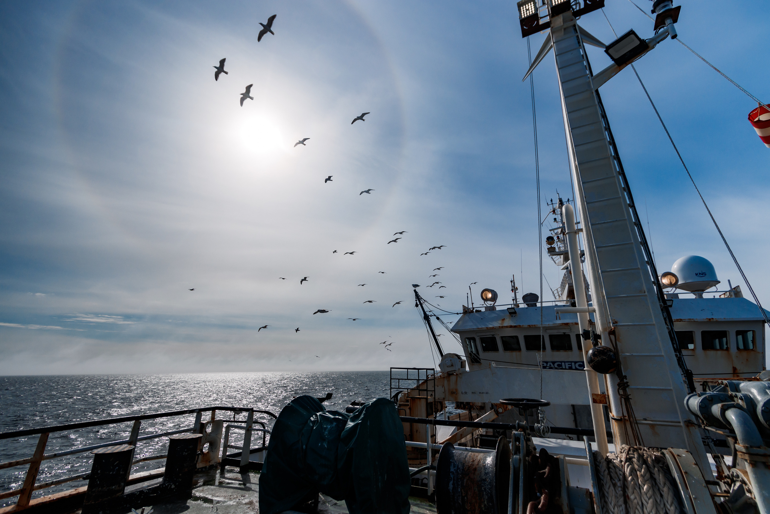 Репортаж из Тихого океана. Марк Шишкин — репортажный фотограф в Воронеже и России