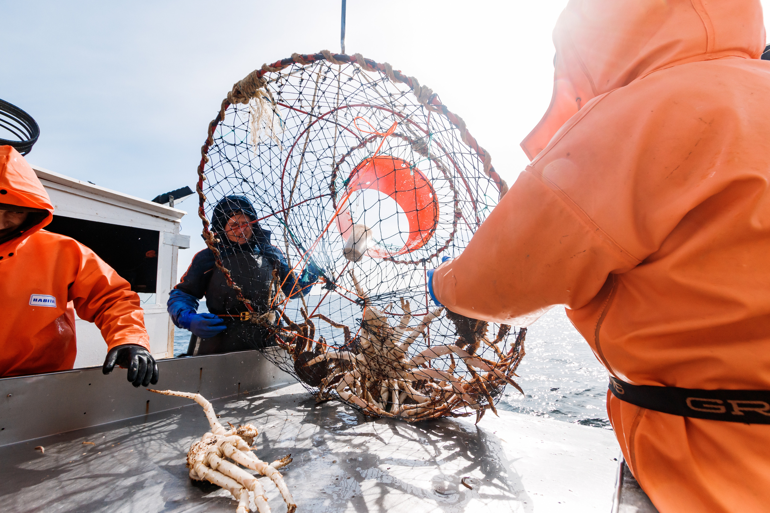 Репортаж из Тихого океана. Марк Шишкин — репортажный фотограф в Воронеже и России