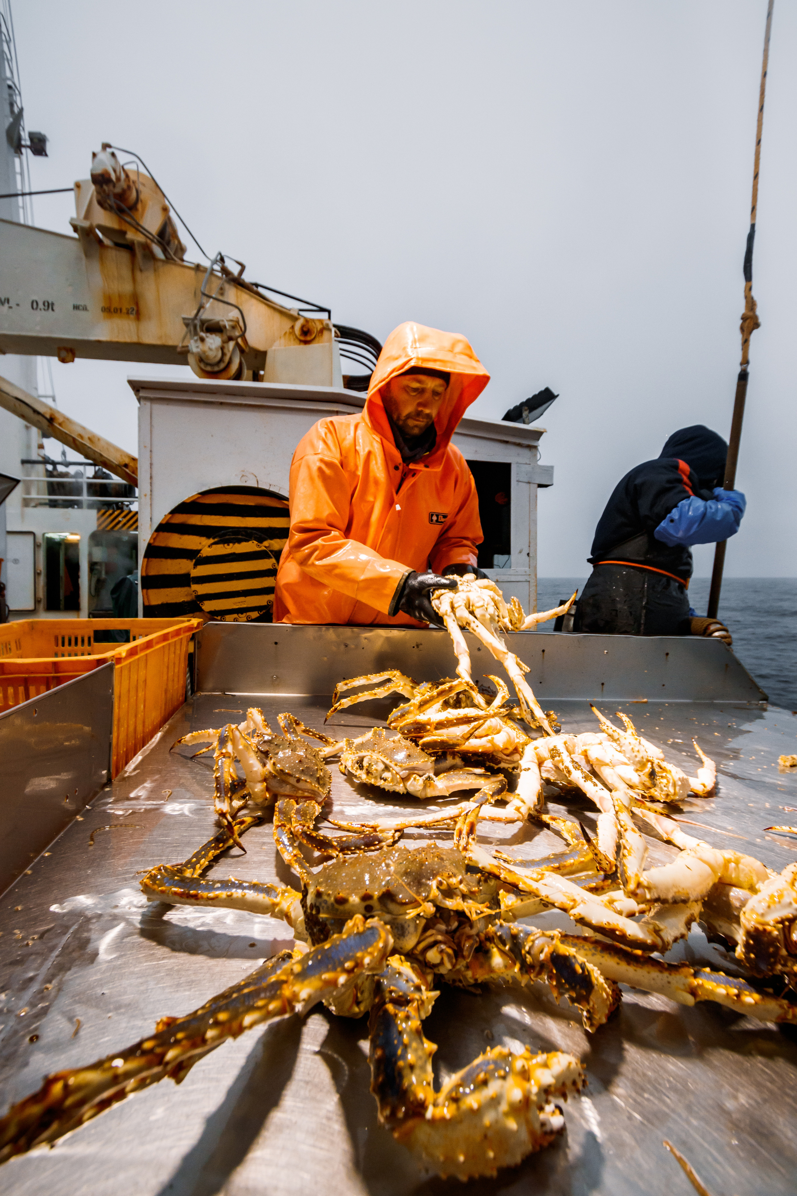 Репортаж из Тихого океана. Марк Шишкин — репортажный фотограф в Воронеже и России