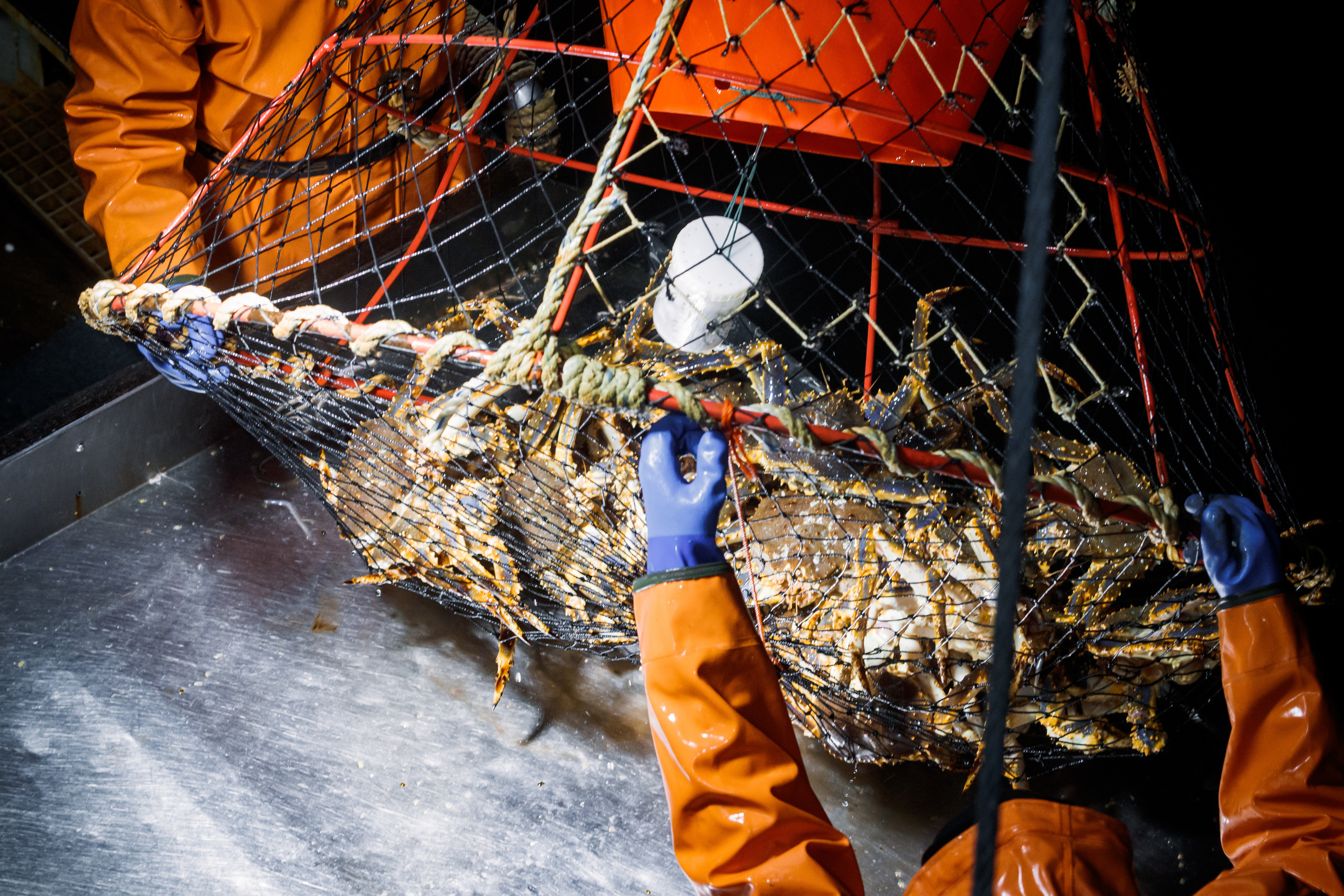 Репортаж из Тихого океана. Марк Шишкин — репортажный фотограф в Воронеже и России