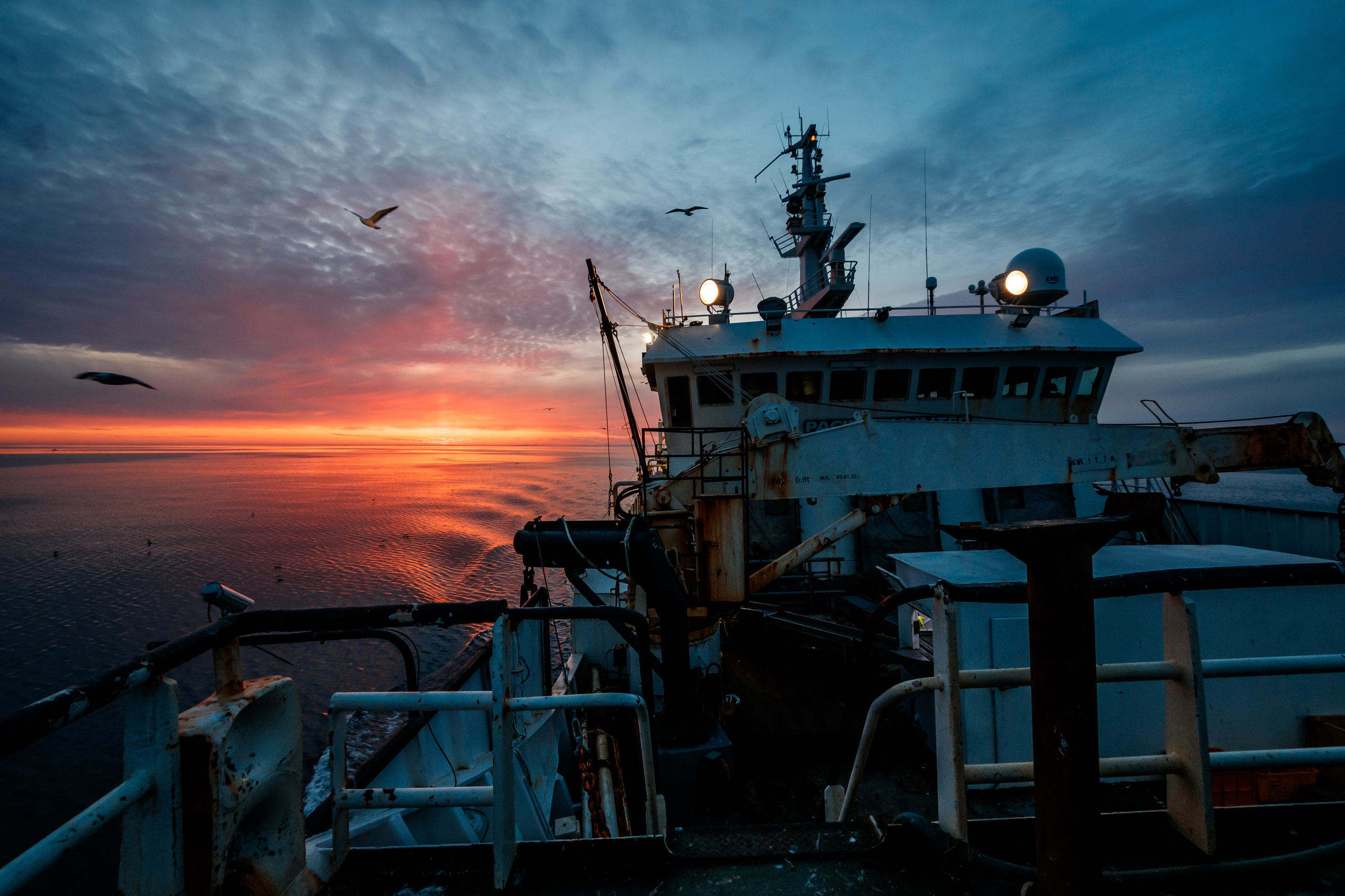 Репортаж из Тихого океана. Марк Шишкин — репортажный фотограф в Воронеже и России