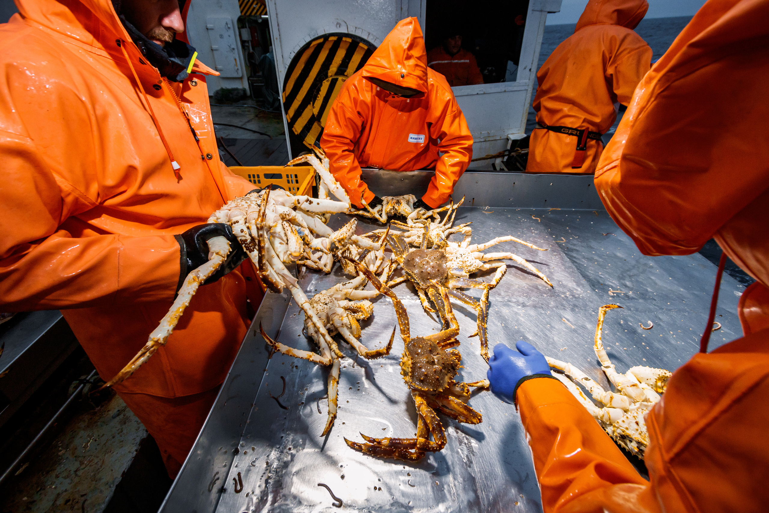 Репортаж из Тихого океана. Марк Шишкин — репортажный фотограф в Воронеже и России
