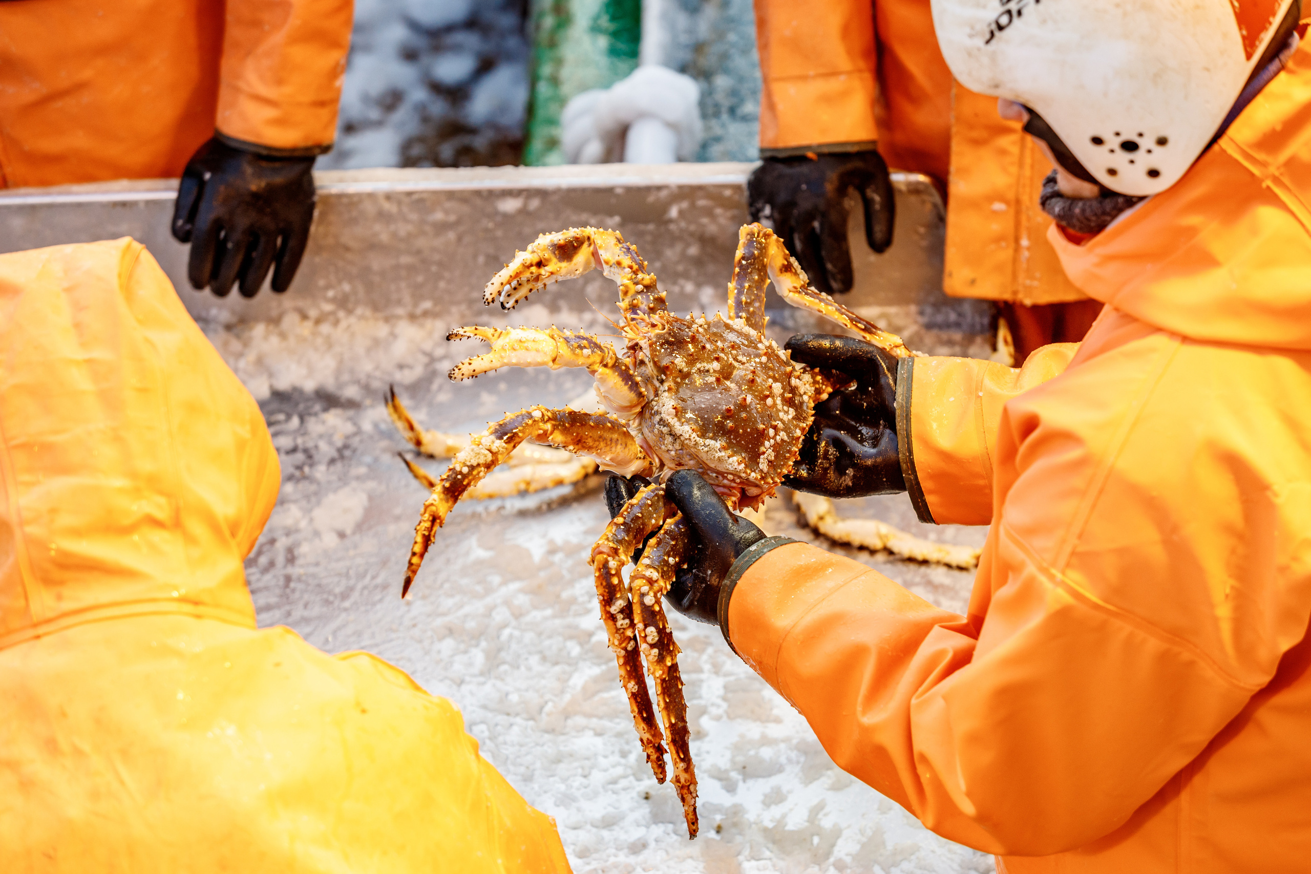 Репортажная съемка в Воронеже. Марк Шишкин — репортажный фотограф в Воронеже и России