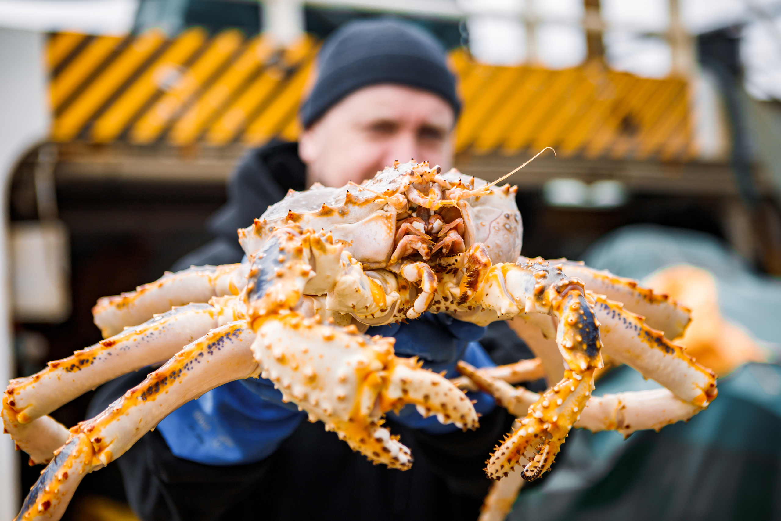 Репортаж из Тихого океана. Марк Шишкин — репортажный фотограф в Воронеже и России