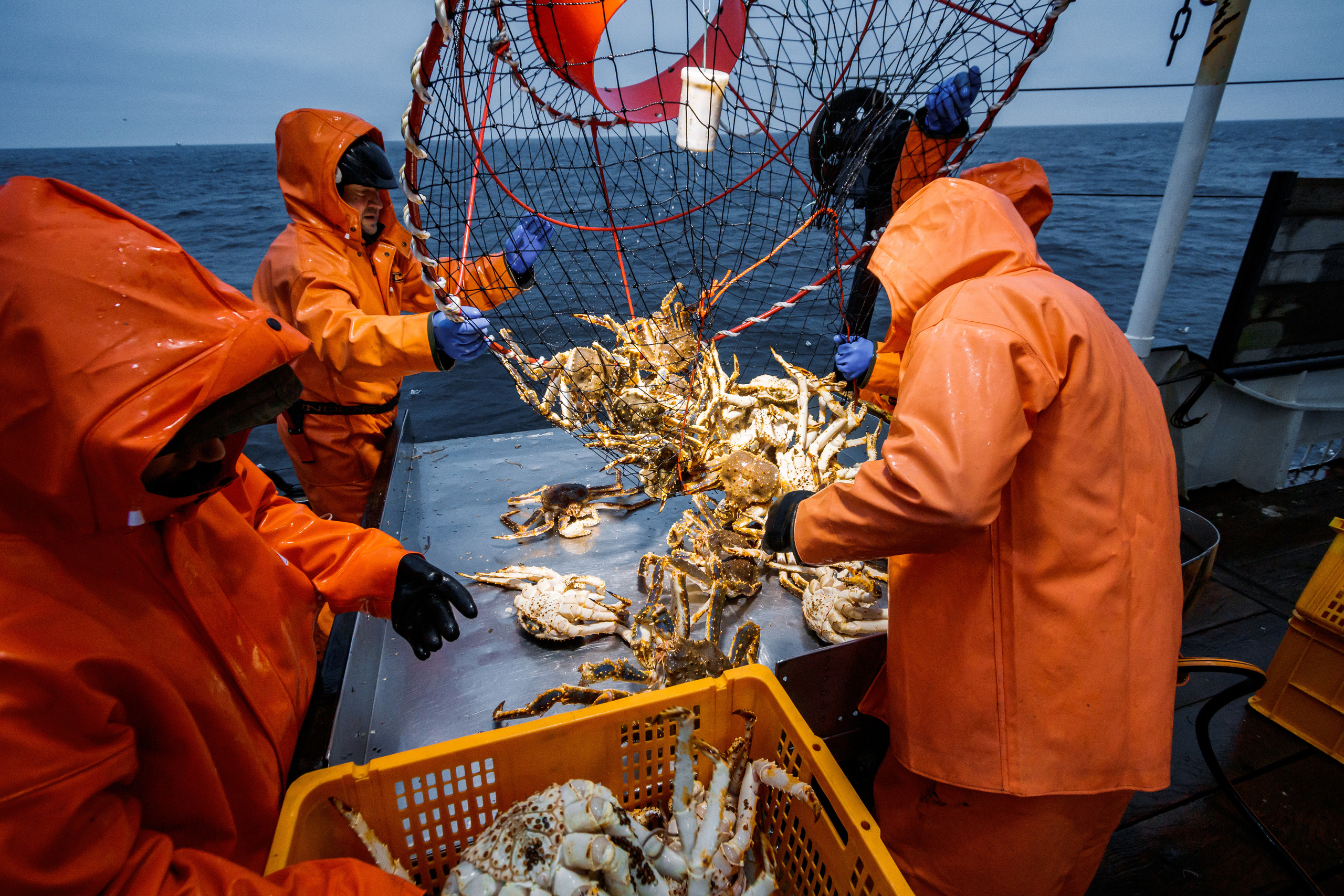 Репортаж из Тихого океана. Марк Шишкин — репортажный фотограф в Воронеже и России