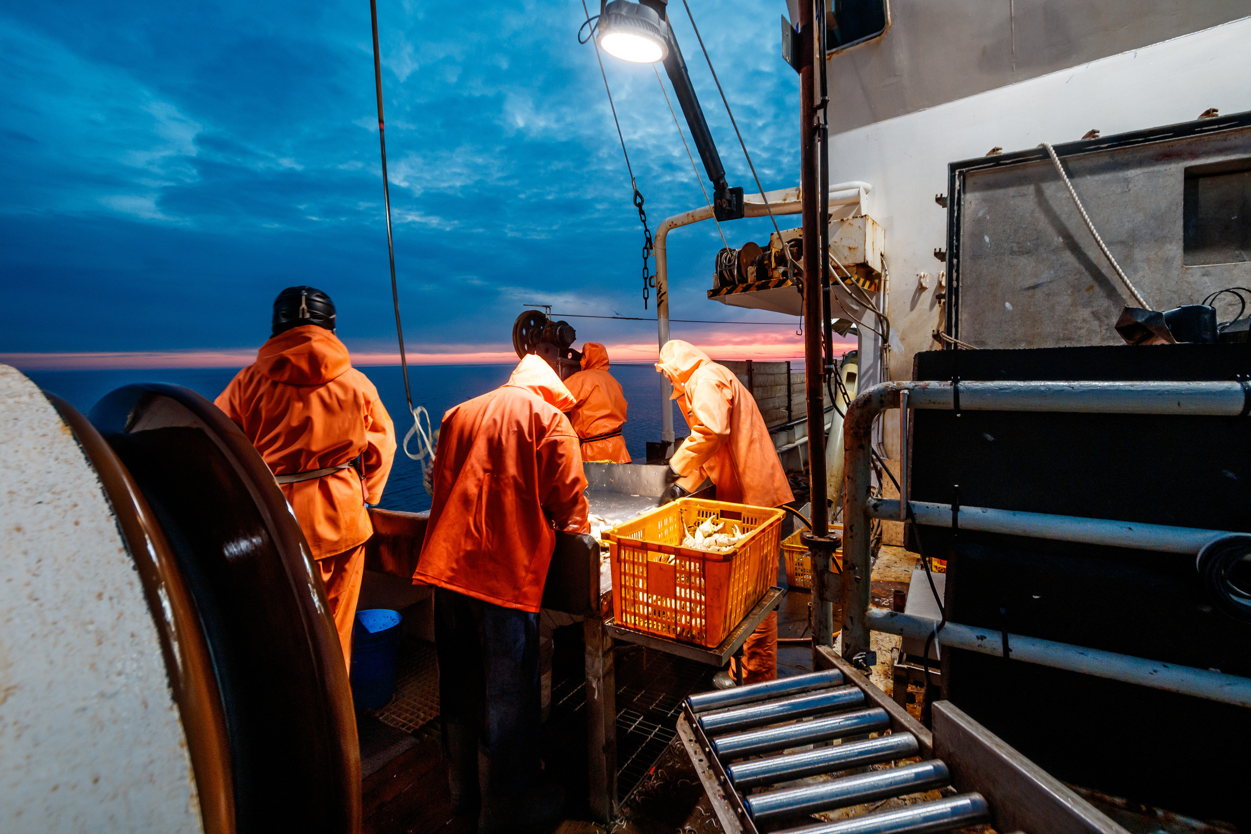 Репортаж из Тихого океана. Марк Шишкин — репортажный фотограф в Воронеже и России