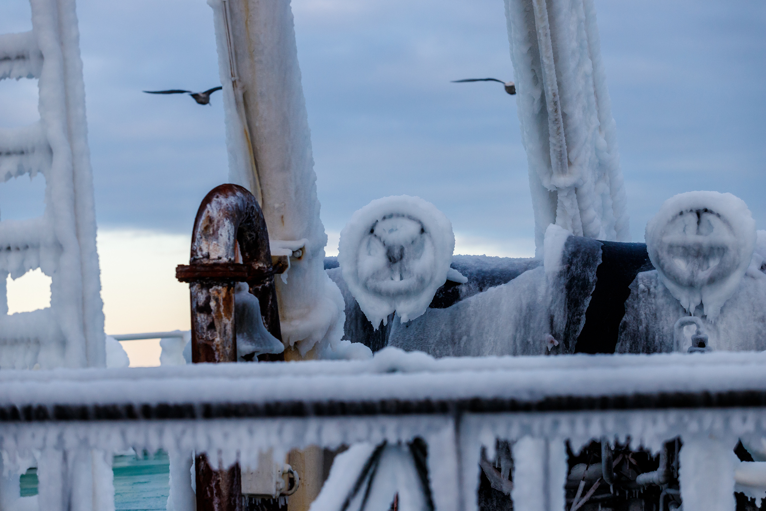 Репортаж в зимнем Беринговом море. Марк Шишкин — репортажный фотограф в Воронеже и России