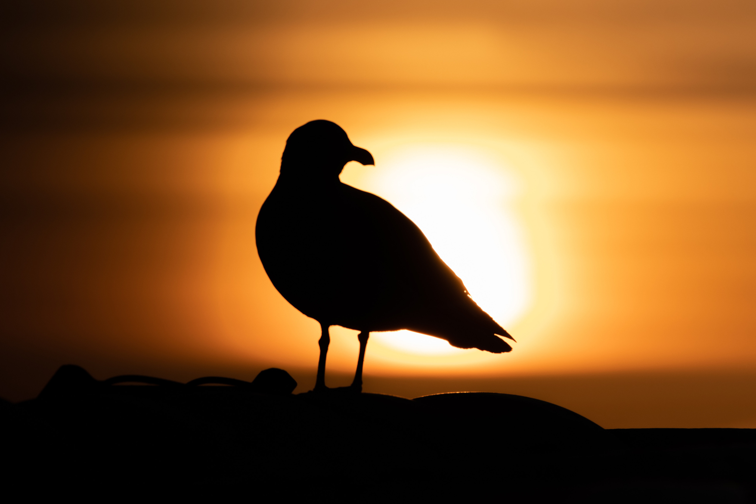 Репортаж из Тихого океана. Марк Шишкин — репортажный фотограф в Воронеже и России