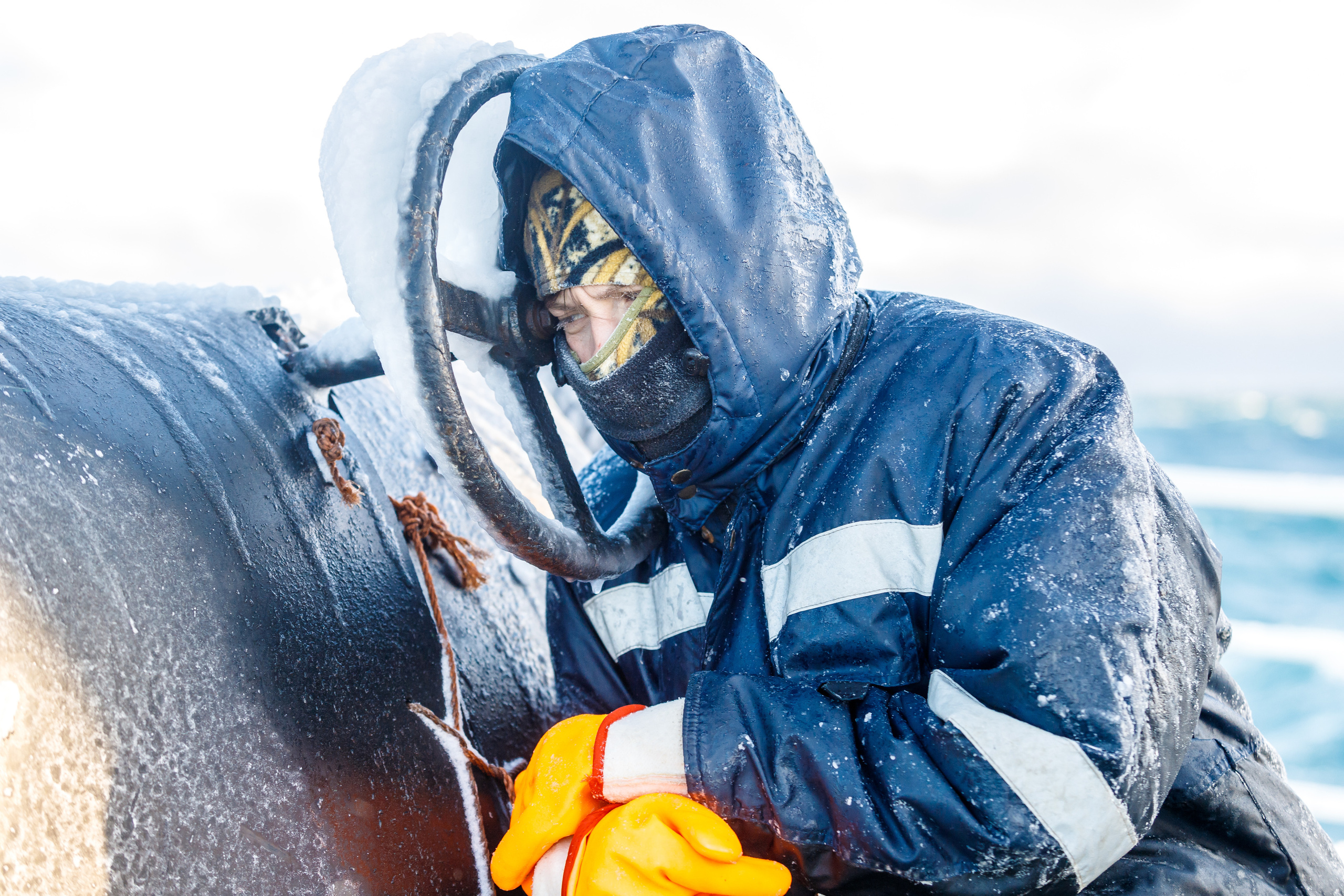 Репортаж в зимнем Беринговом море. Марк Шишкин — репортажный фотограф в Воронеже и России