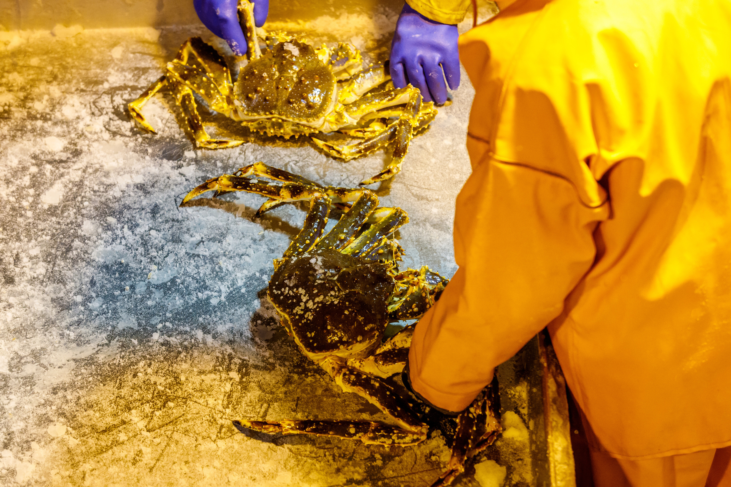 Репортаж в зимнем Беринговом море. Марк Шишкин — репортажный фотограф в Воронеже и России