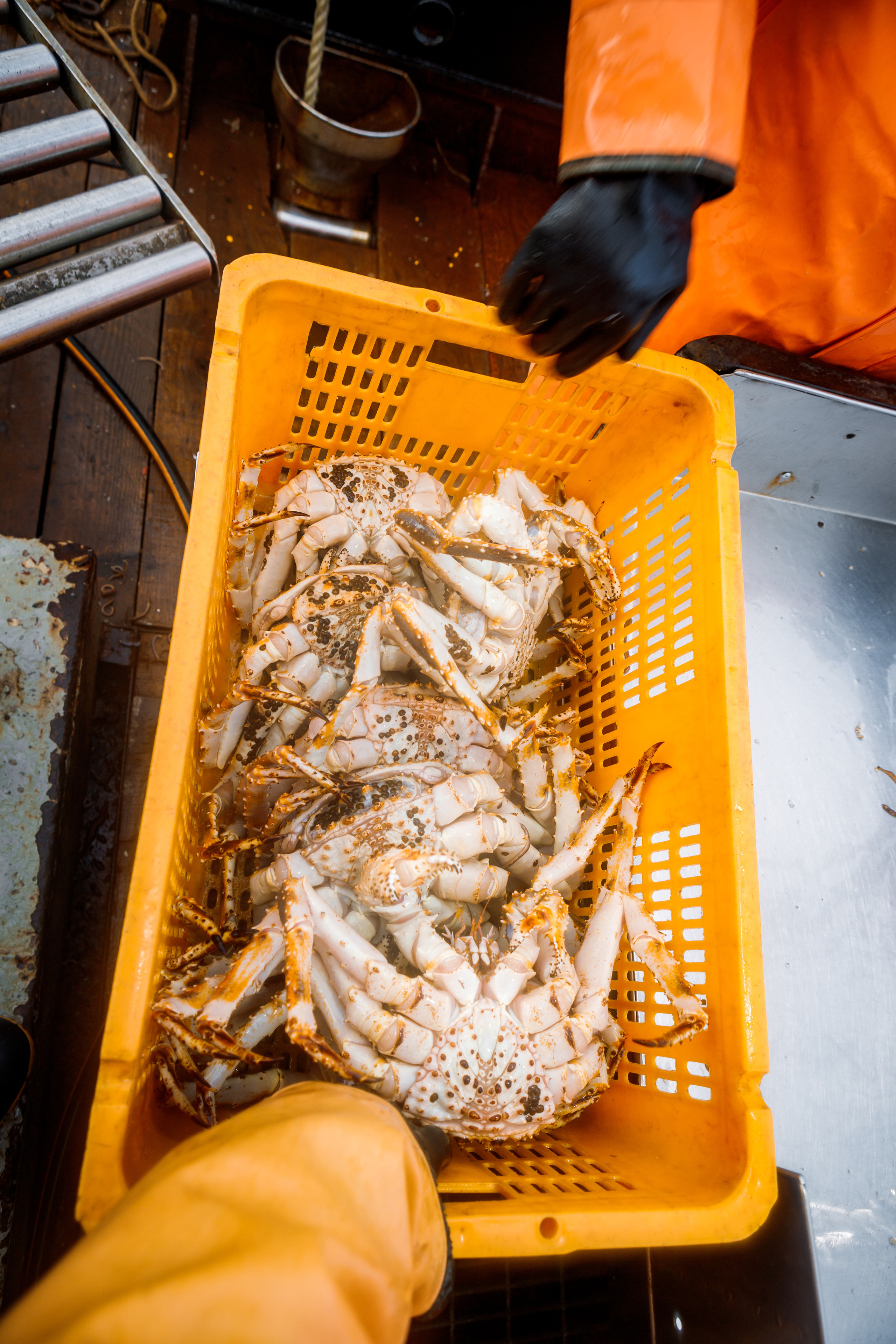 Репортаж из Тихого океана. Марк Шишкин — репортажный фотограф в Воронеже и России