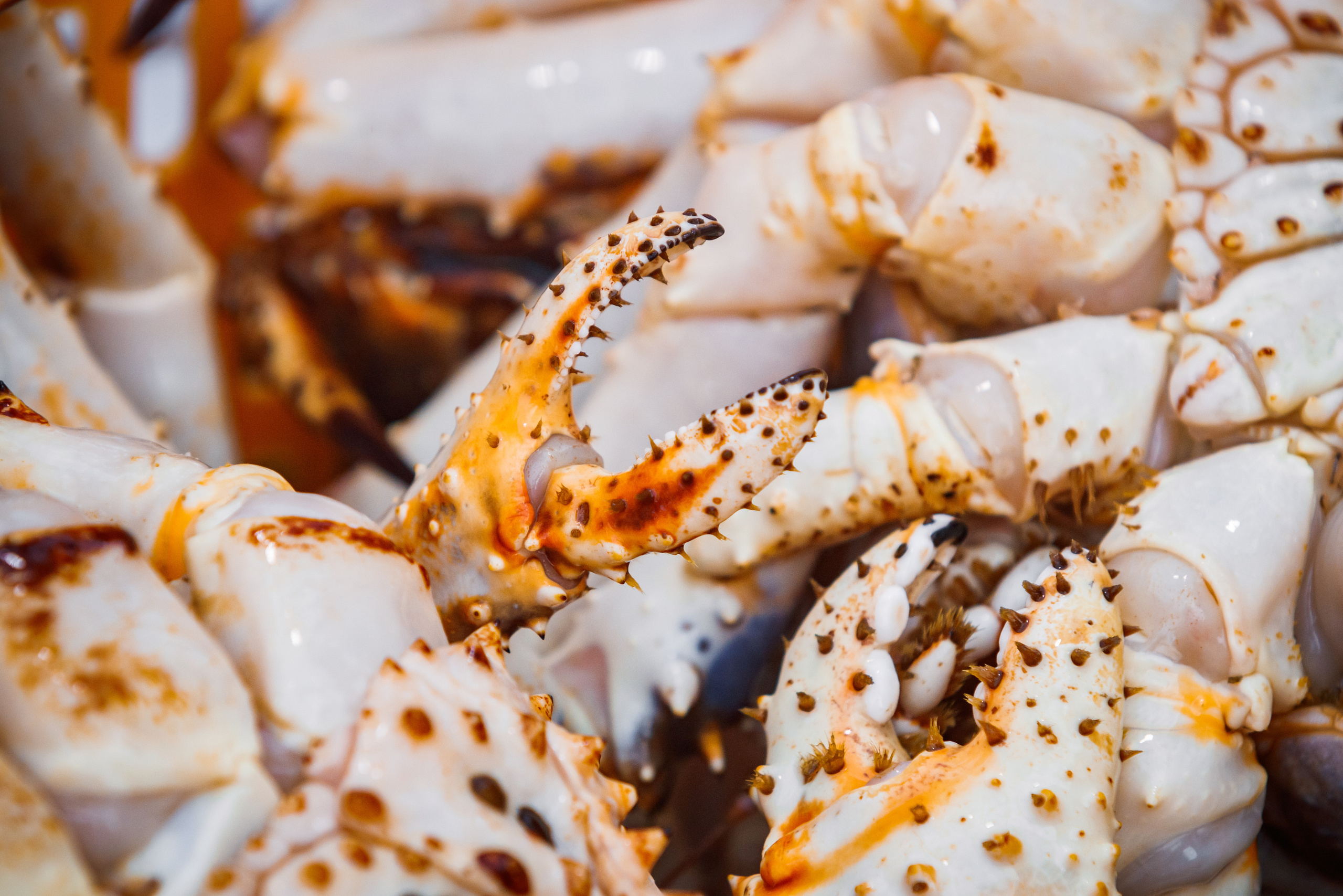 Репортаж из Тихого океана. Марк Шишкин — репортажный фотограф в Воронеже и России