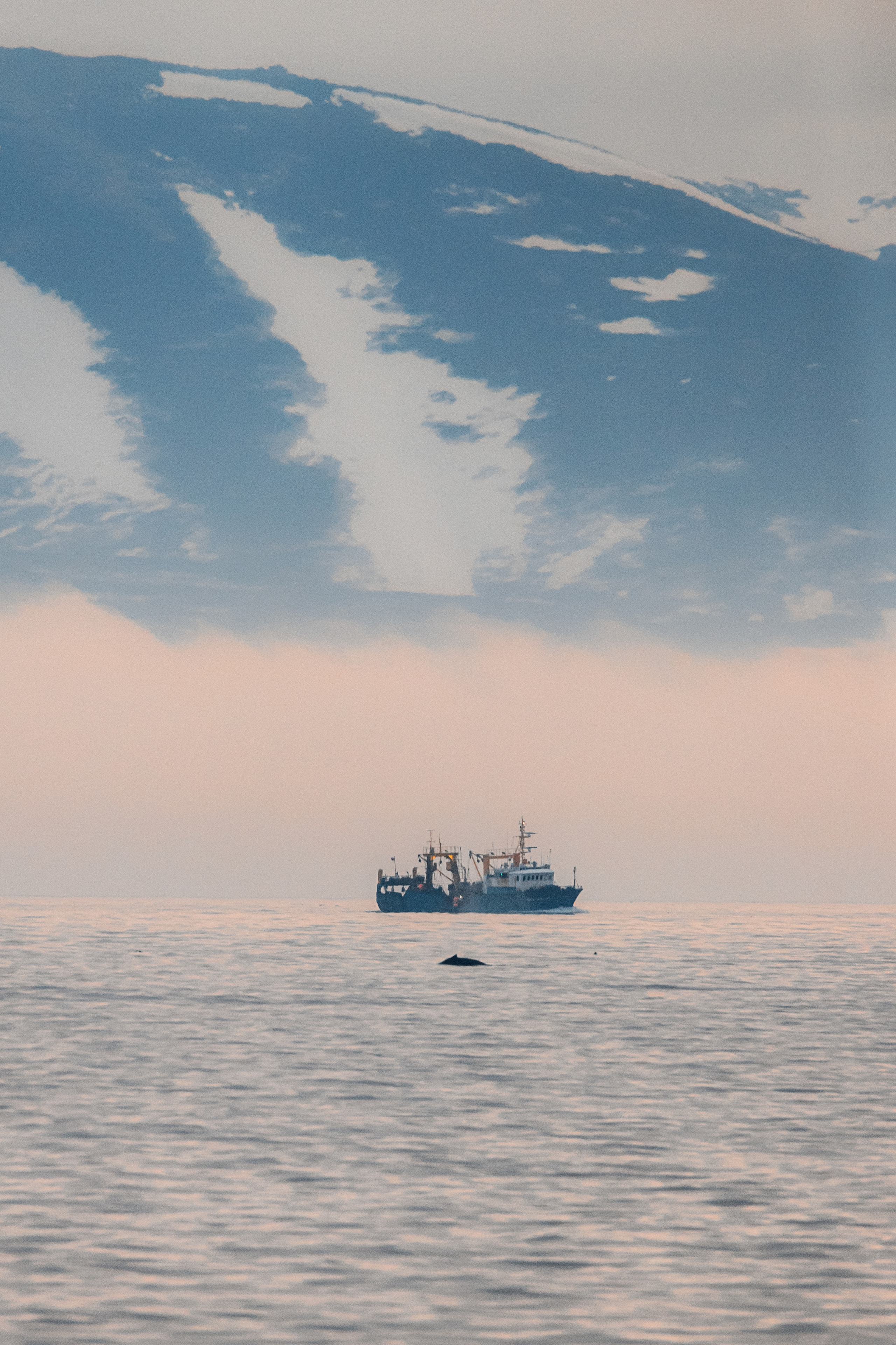 Репортаж из Тихого океана. Марк Шишкин — репортажный фотограф в Воронеже и России