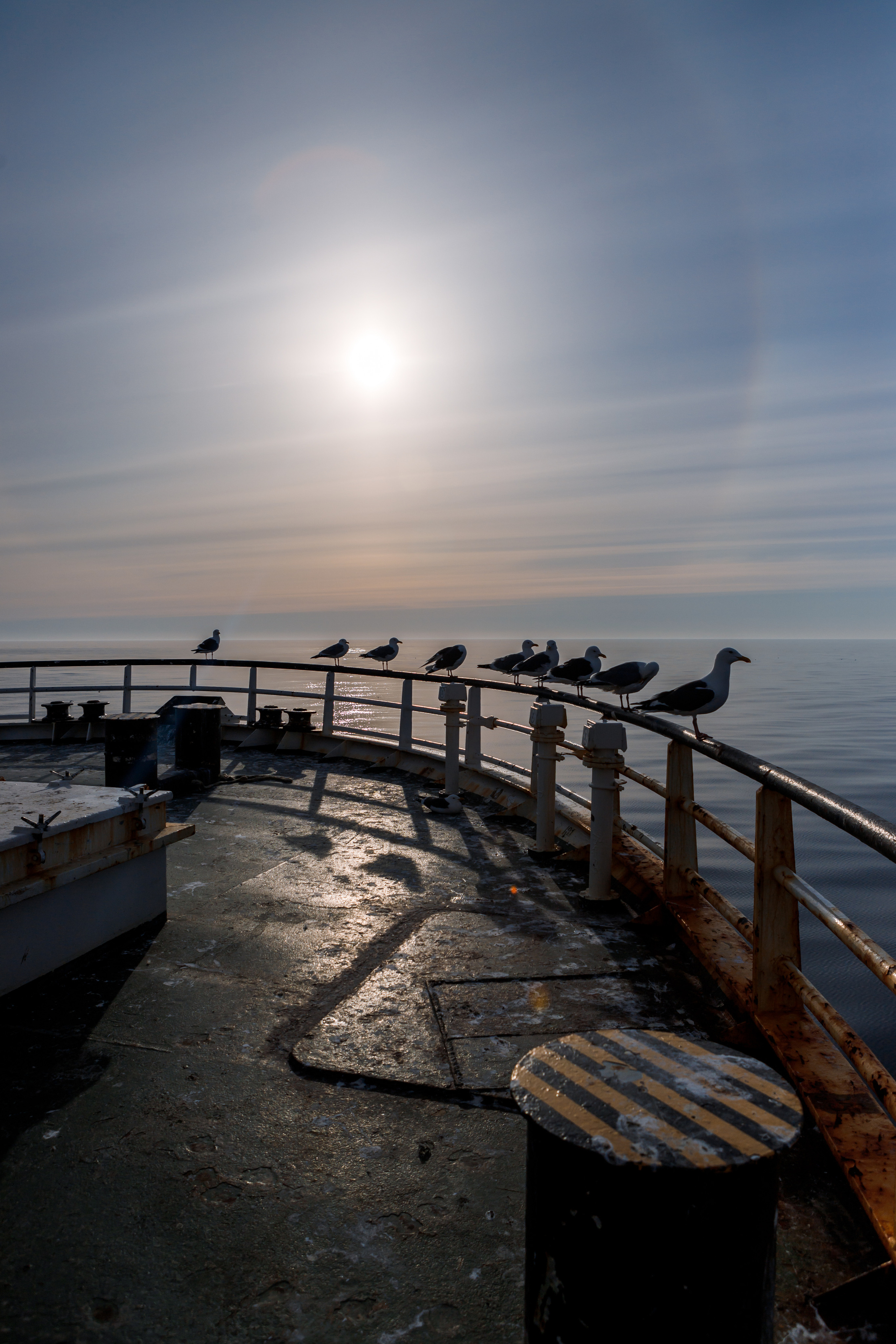 Репортаж из Тихого океана. Марк Шишкин — репортажный фотограф в Воронеже и России