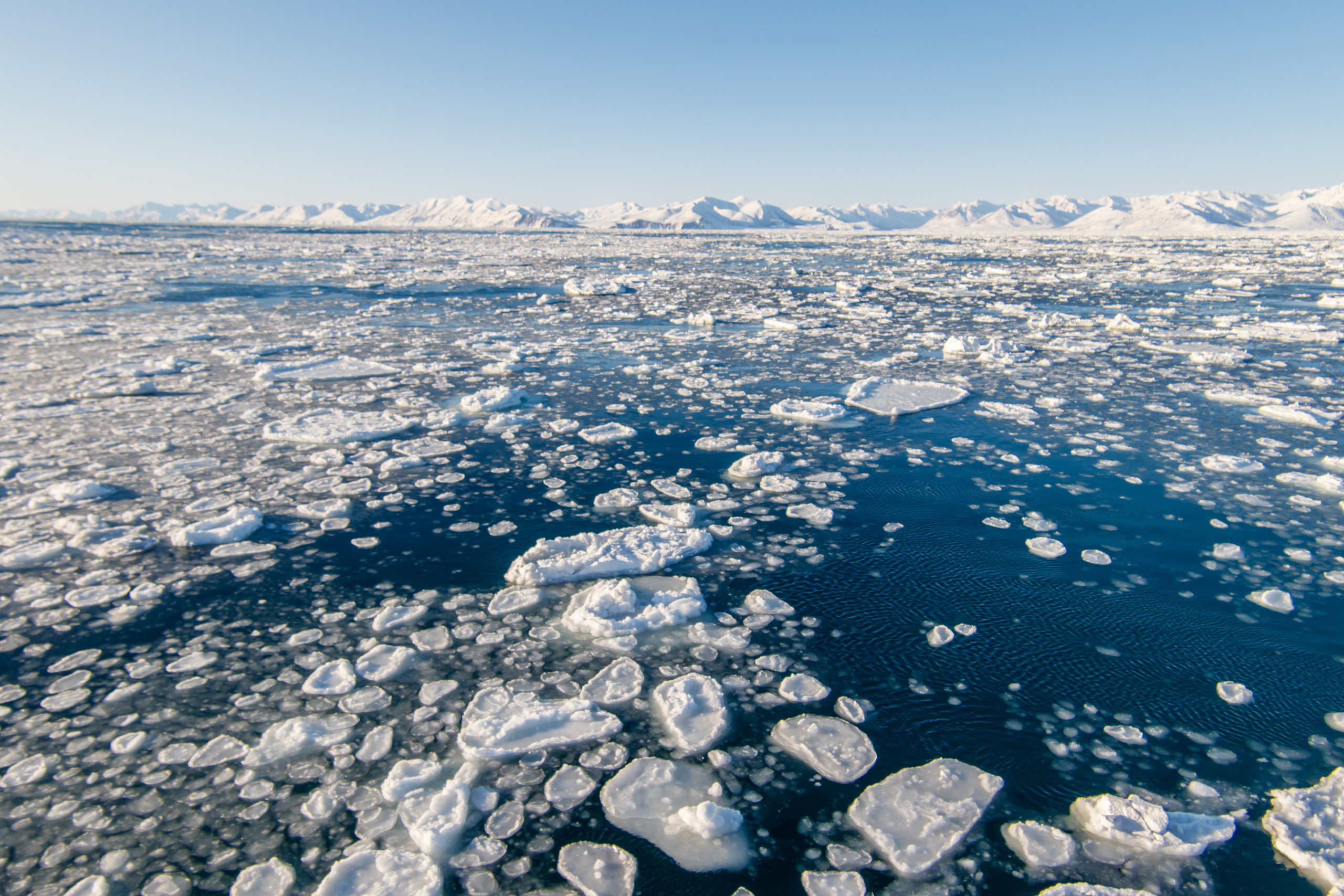 Репортаж в зимнем Беринговом море. Марк Шишкин — репортажный фотограф в Воронеже и России