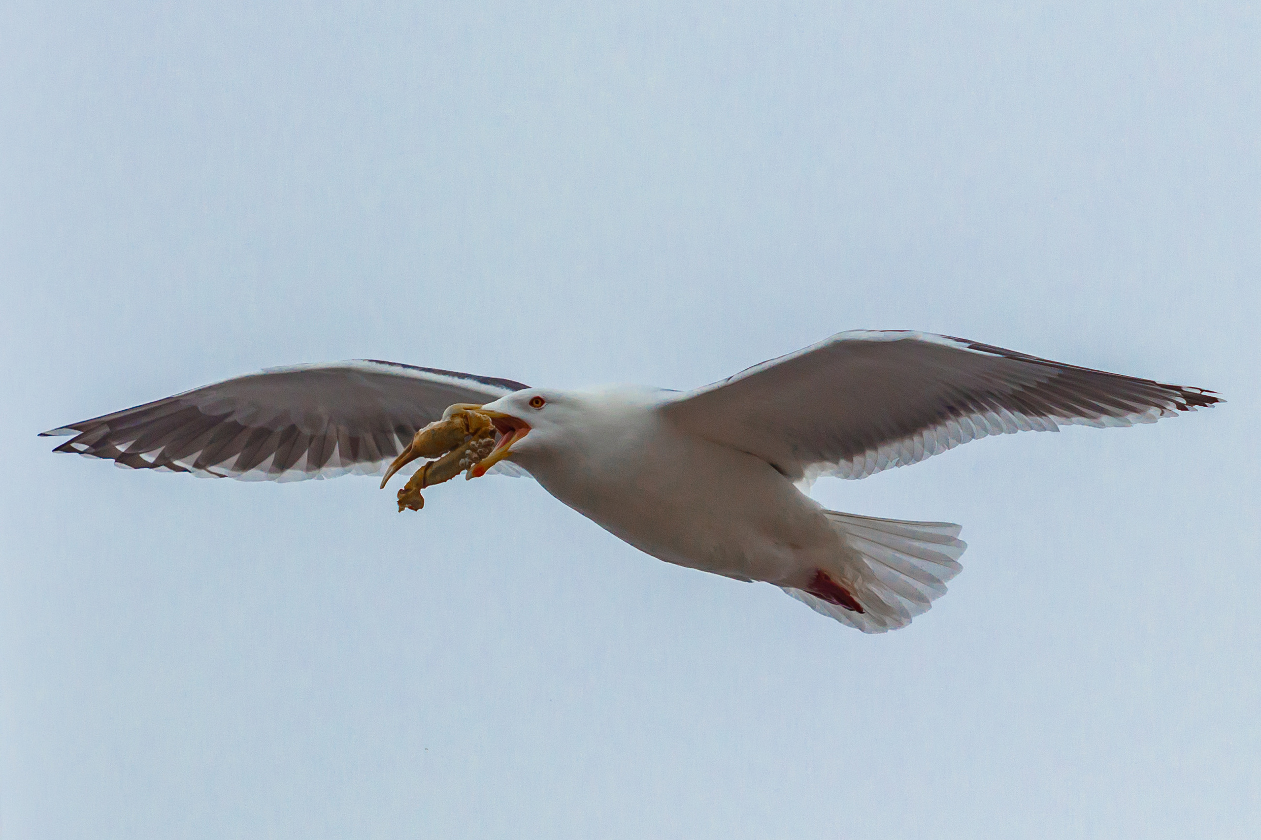Репортаж из Тихого океана. Марк Шишкин — репортажный фотограф в Воронеже и России