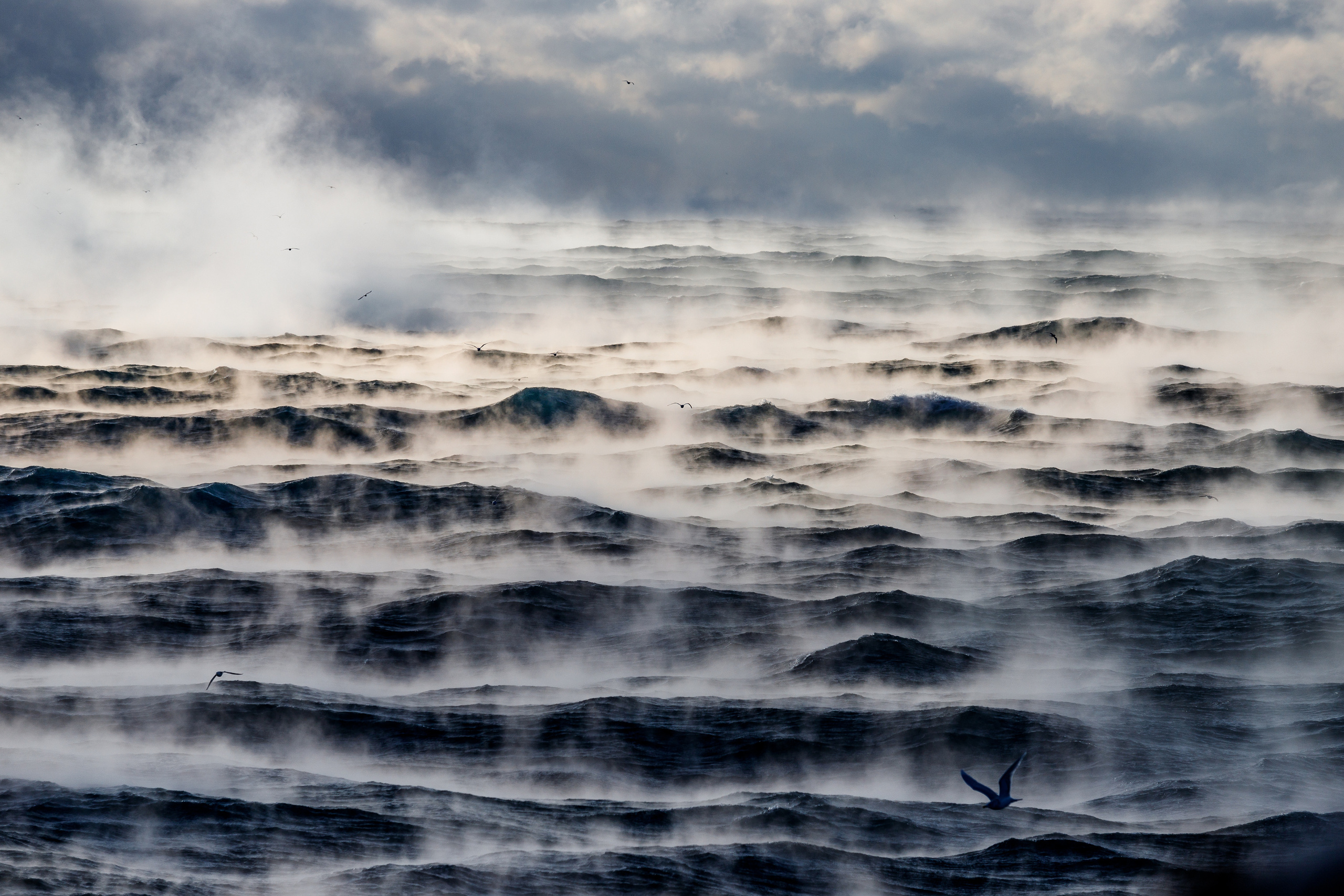 Репортаж в зимнем Беринговом море. Марк Шишкин — репортажный фотограф в Воронеже и России