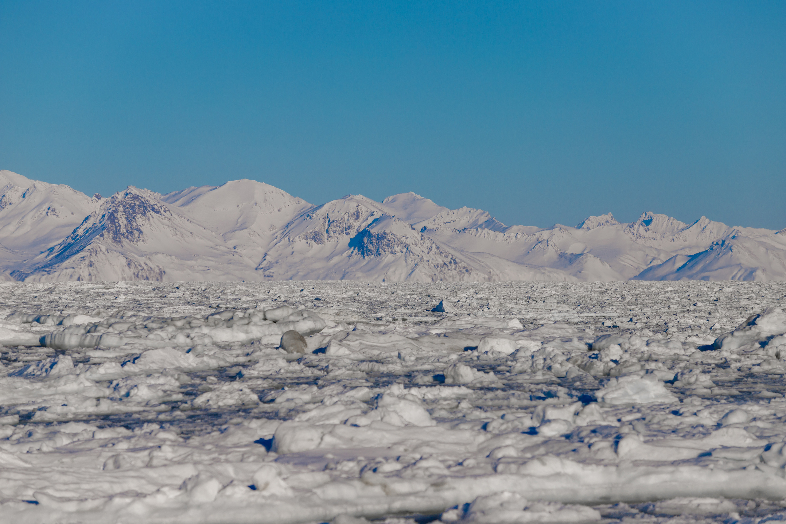 Репортаж в зимнем Беринговом море. Марк Шишкин — репортажный фотограф в Воронеже и России