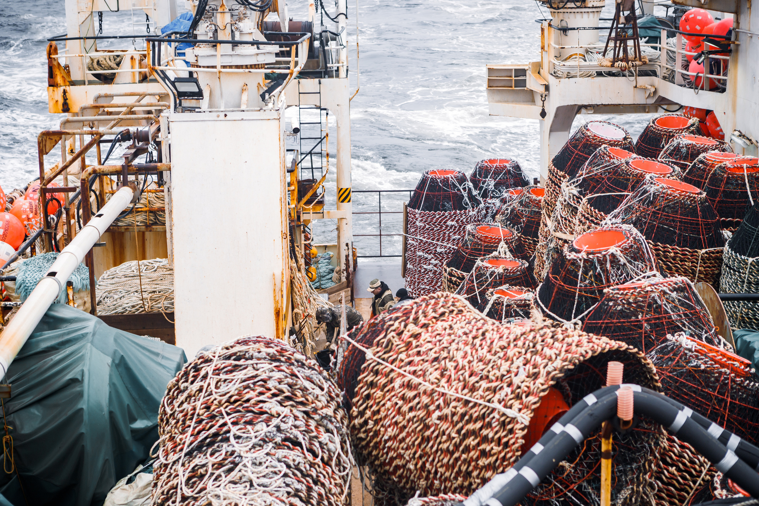 Репортаж из Тихого океана. Марк Шишкин — репортажный фотограф в Воронеже и России