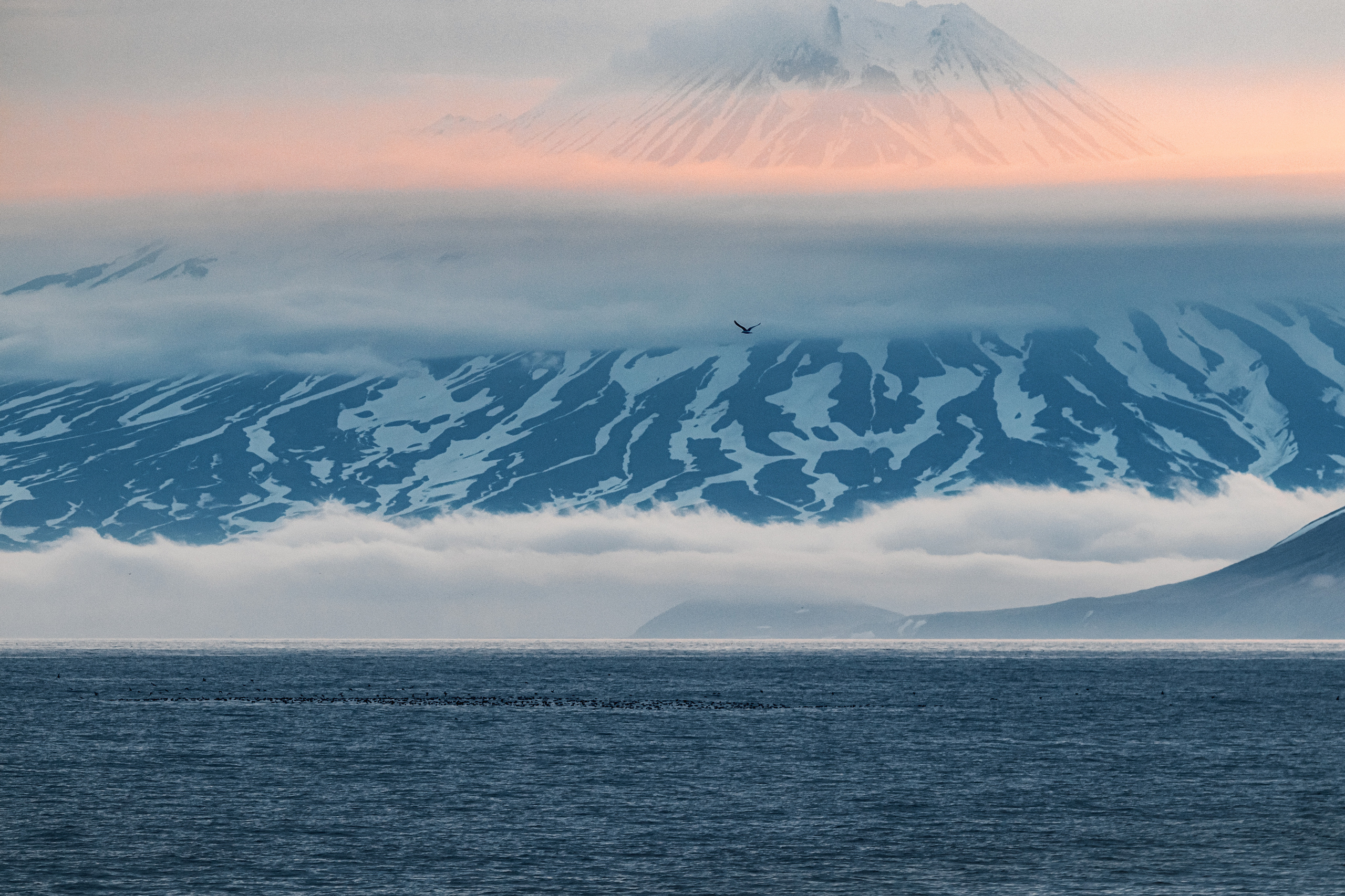Репортаж из Тихого океана. Марк Шишкин — репортажный фотограф в Воронеже и России