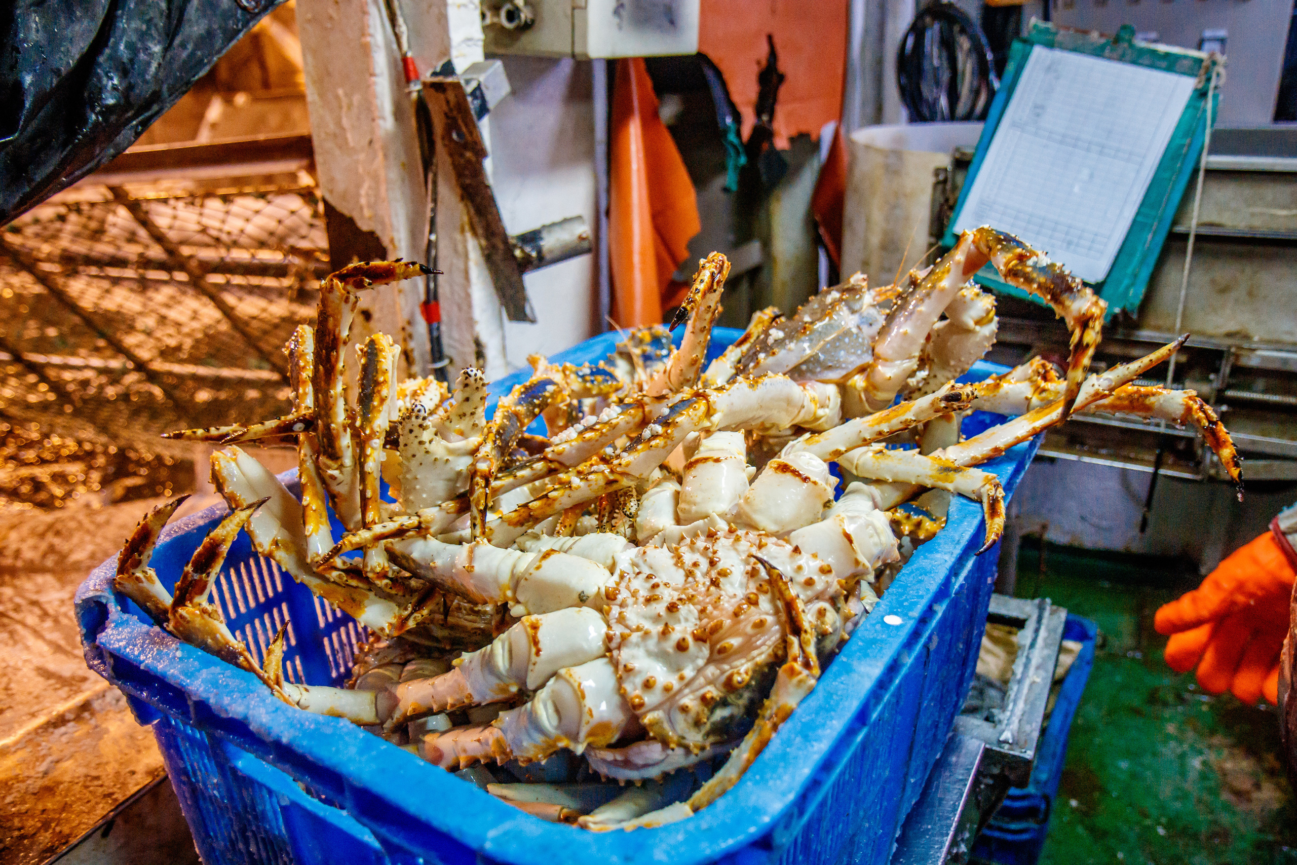 Репортаж в зимнем Беринговом море. Марк Шишкин — репортажный фотограф в Воронеже и России