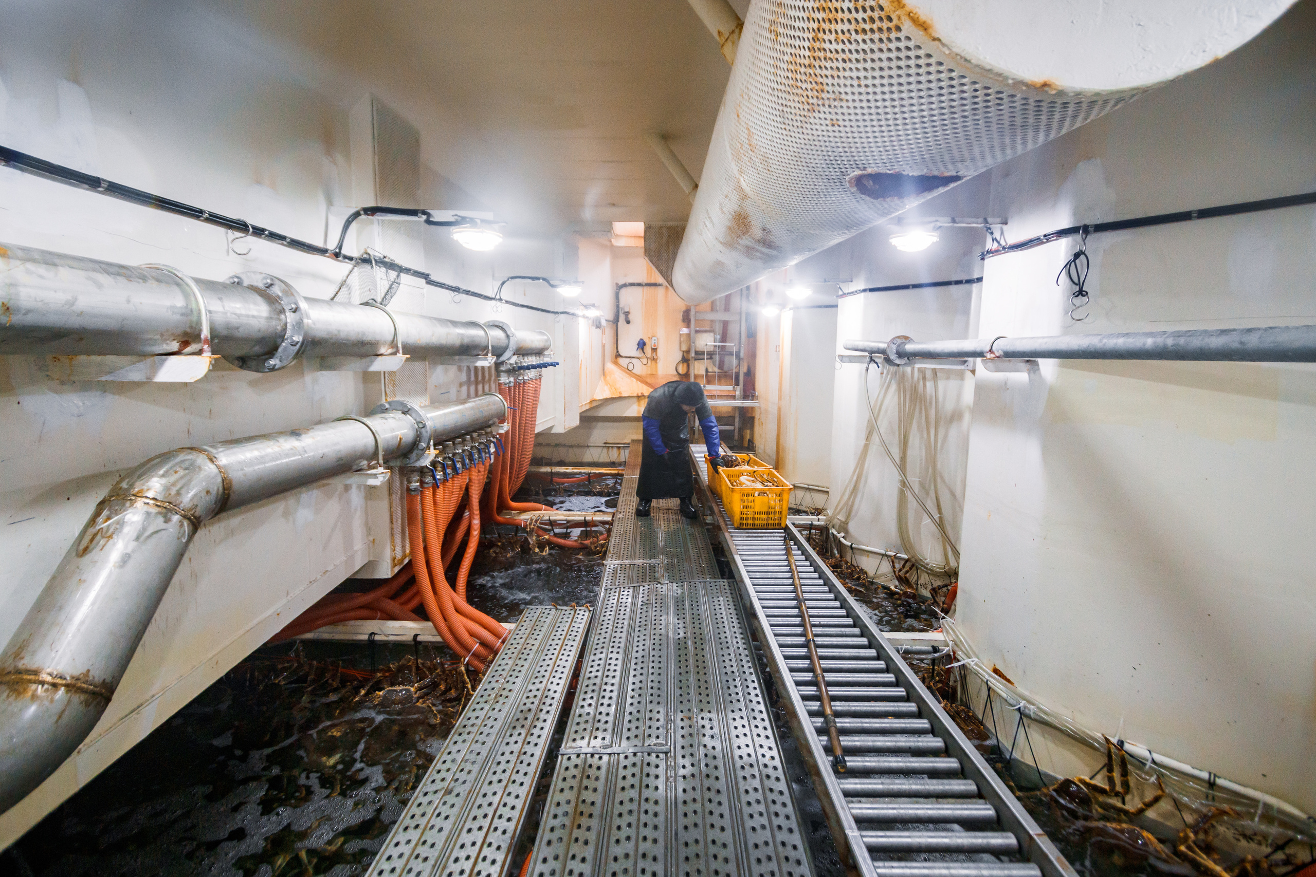 Репортаж из Тихого океана. Марк Шишкин — репортажный фотограф в Воронеже и России