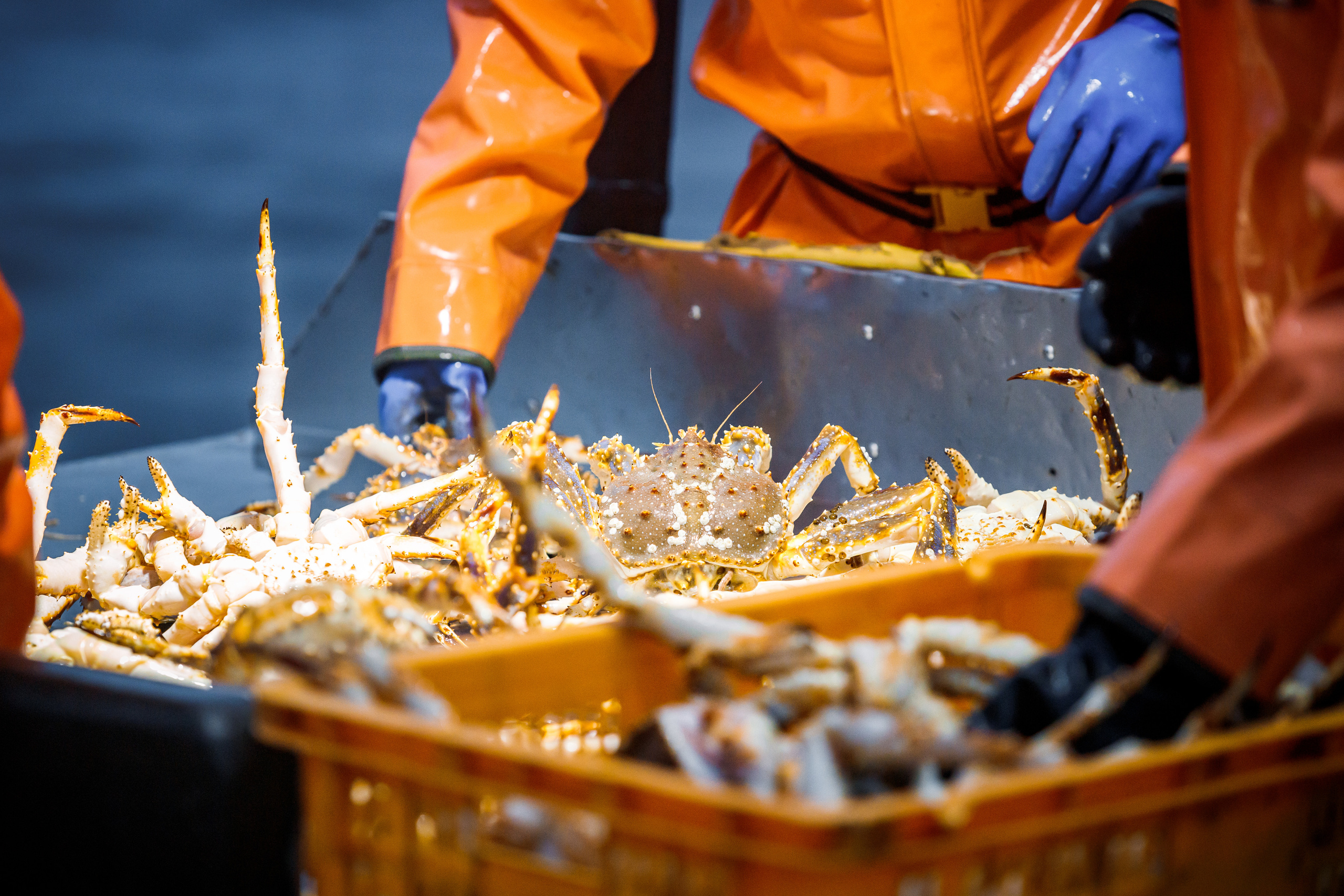 Репортаж из Тихого океана. Марк Шишкин — репортажный фотограф в Воронеже и России
