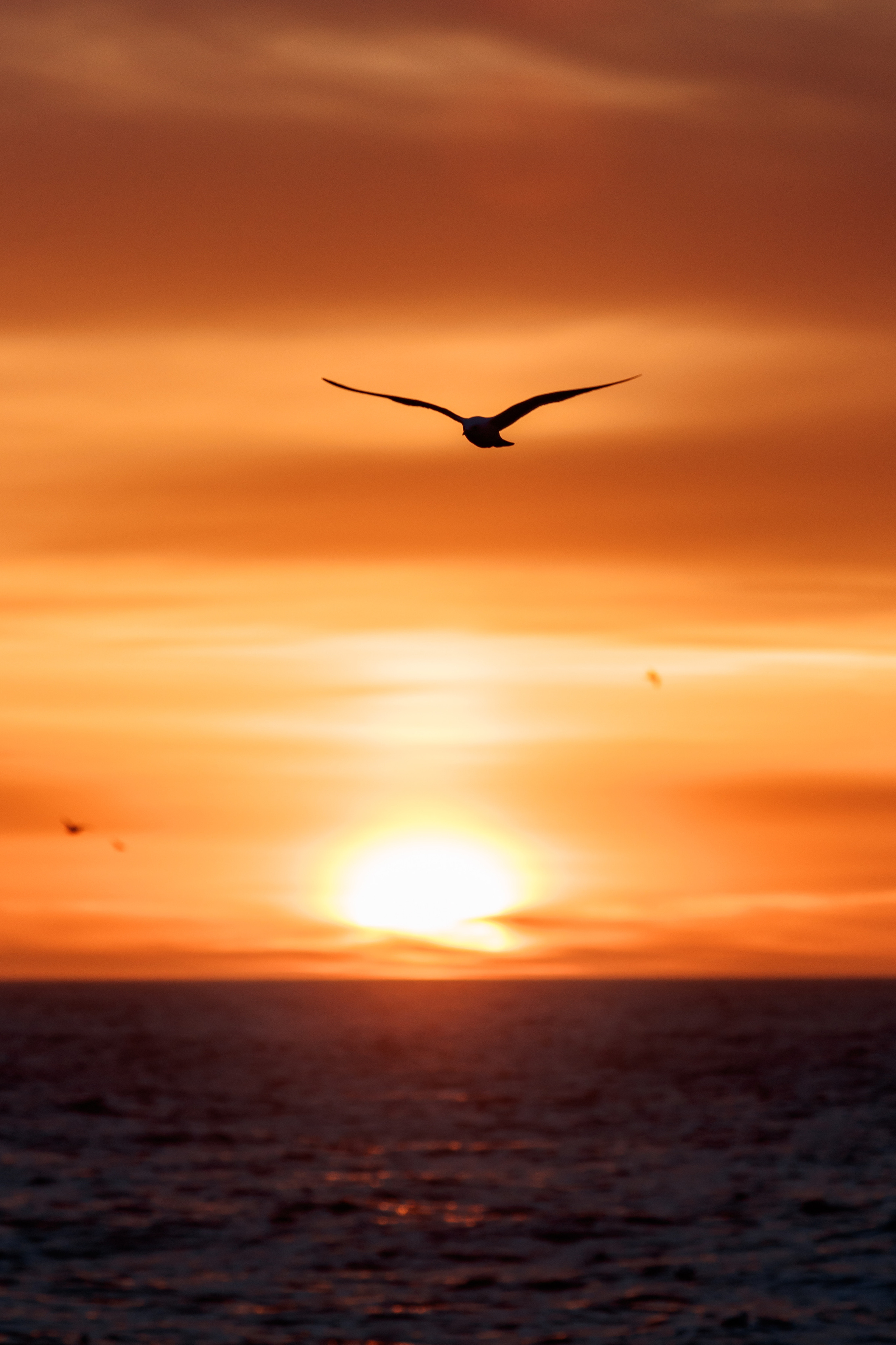 Репортаж из Тихого океана. Марк Шишкин — репортажный фотограф в Воронеже и России