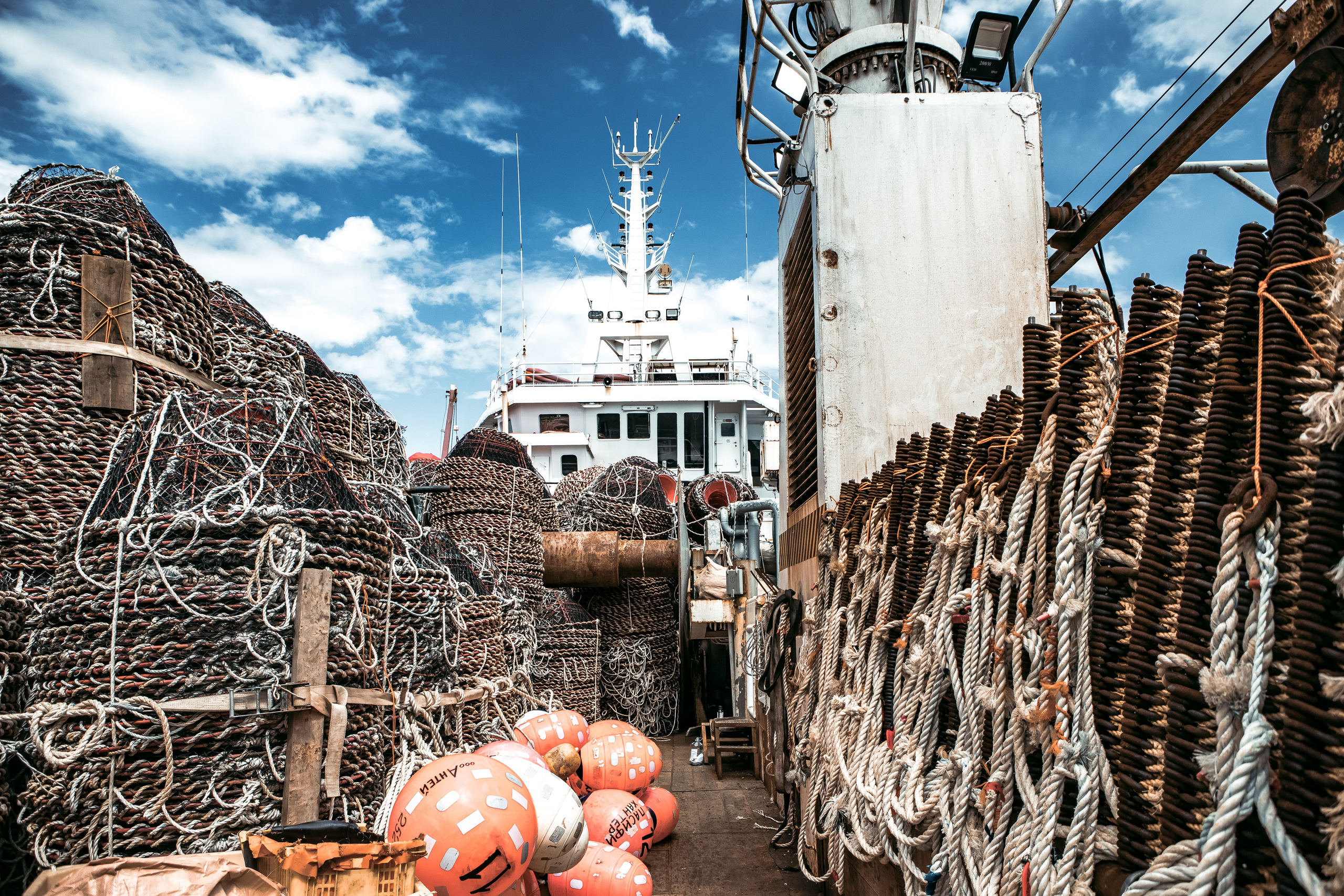 Репортаж из Тихого океана. Марк Шишкин — репортажный фотограф в Воронеже и России