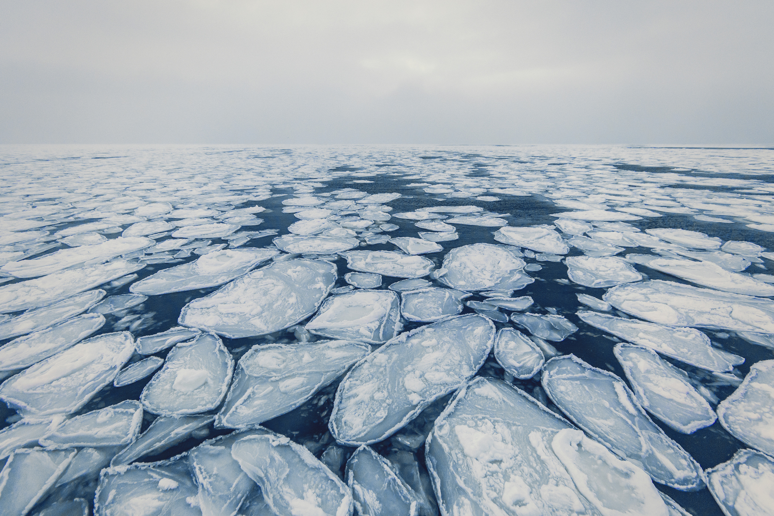Репортаж в зимнем Беринговом море. Марк Шишкин — репортажный фотограф в Воронеже и России