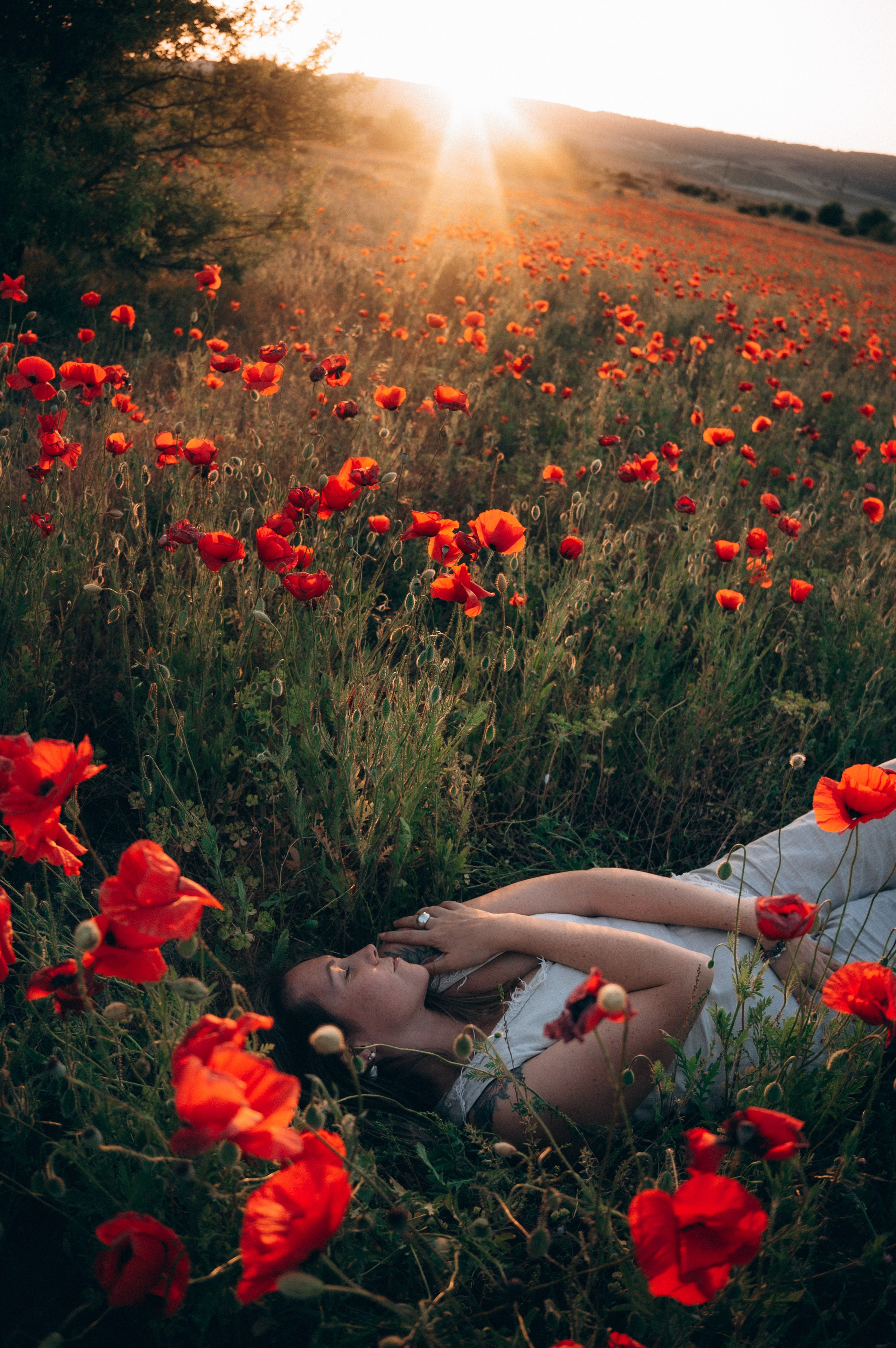 Ольга | маки. Обо мне