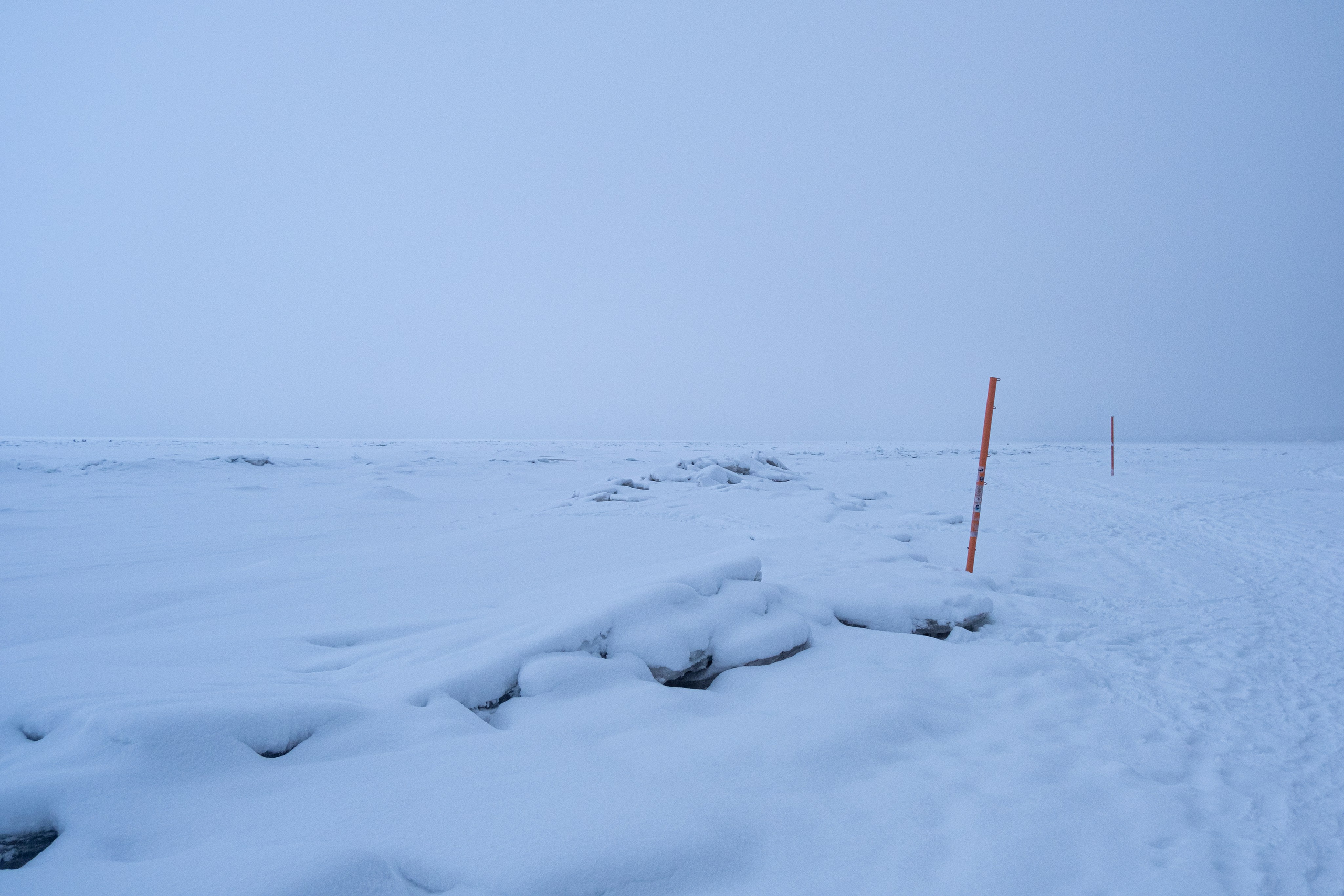 Комарово. Портретный и архитектурный фотограф в Москве и Санкт-Петербурге