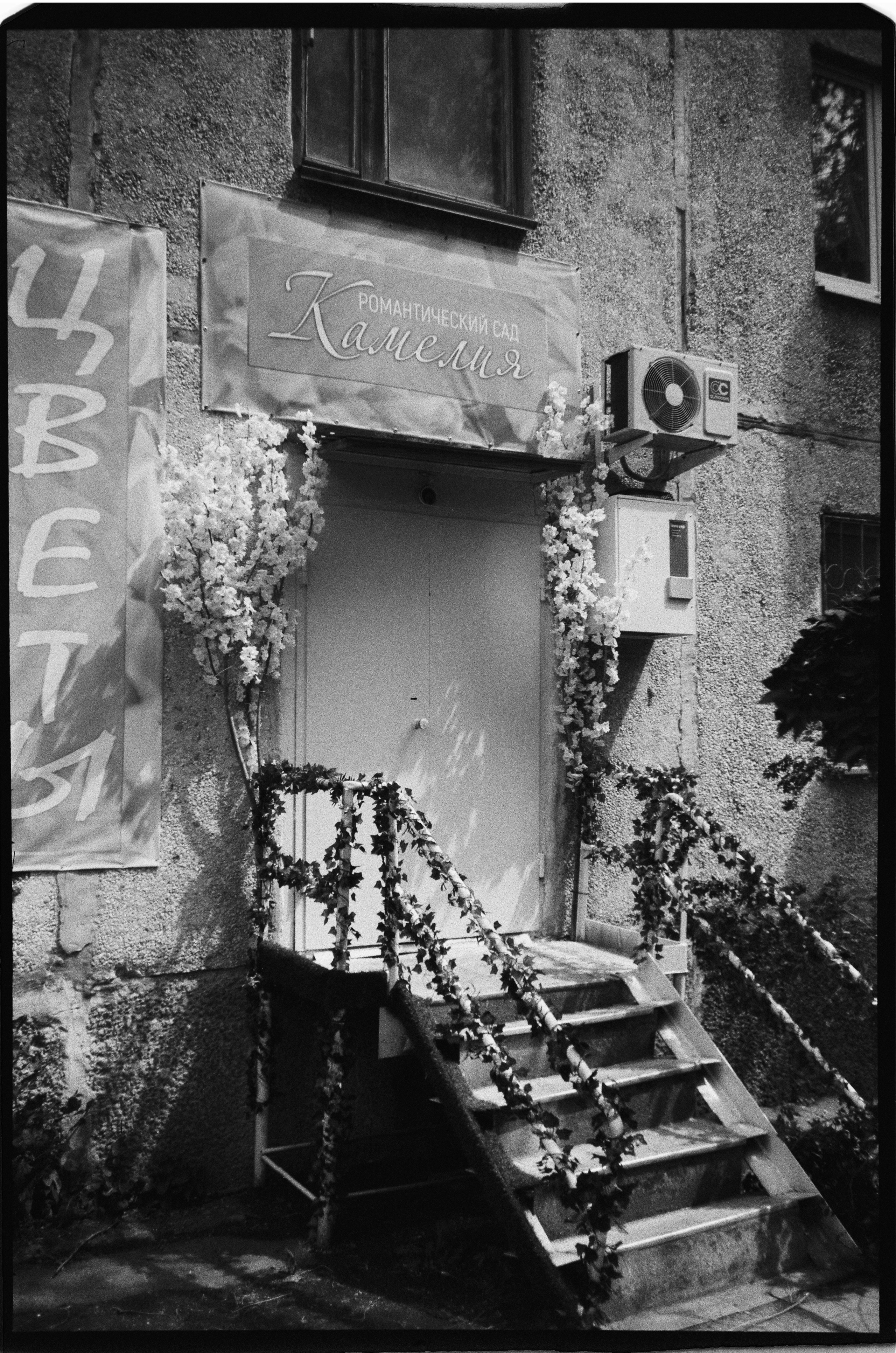 И вокруг меня. Портретный и концертный фотограф в Санкт-Петербурге Егор Телятников