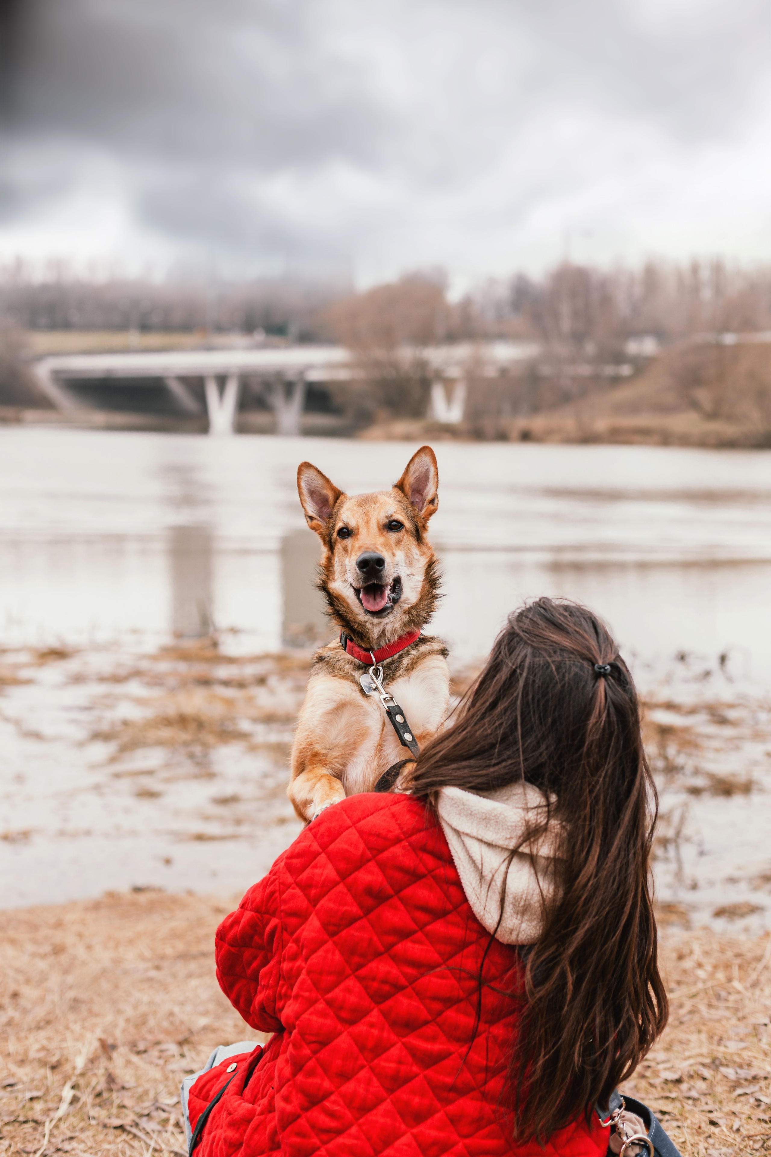 Трэвис и Валли 2024. Фотограф-анималист Татьяна Степанова