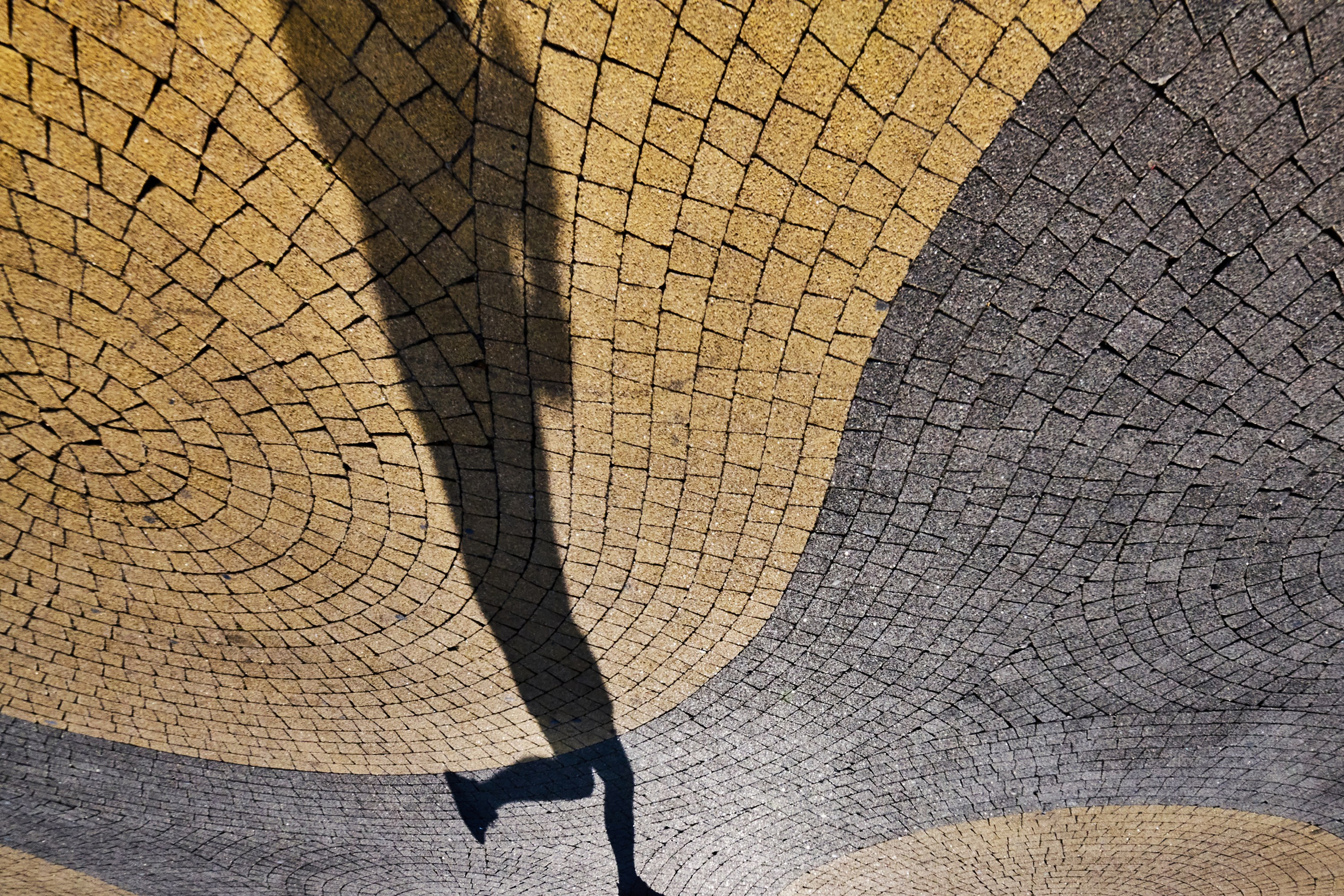 Жизнь, люди, стрит, вокруг, животные, на улице. Яркие фото на Чёрном море