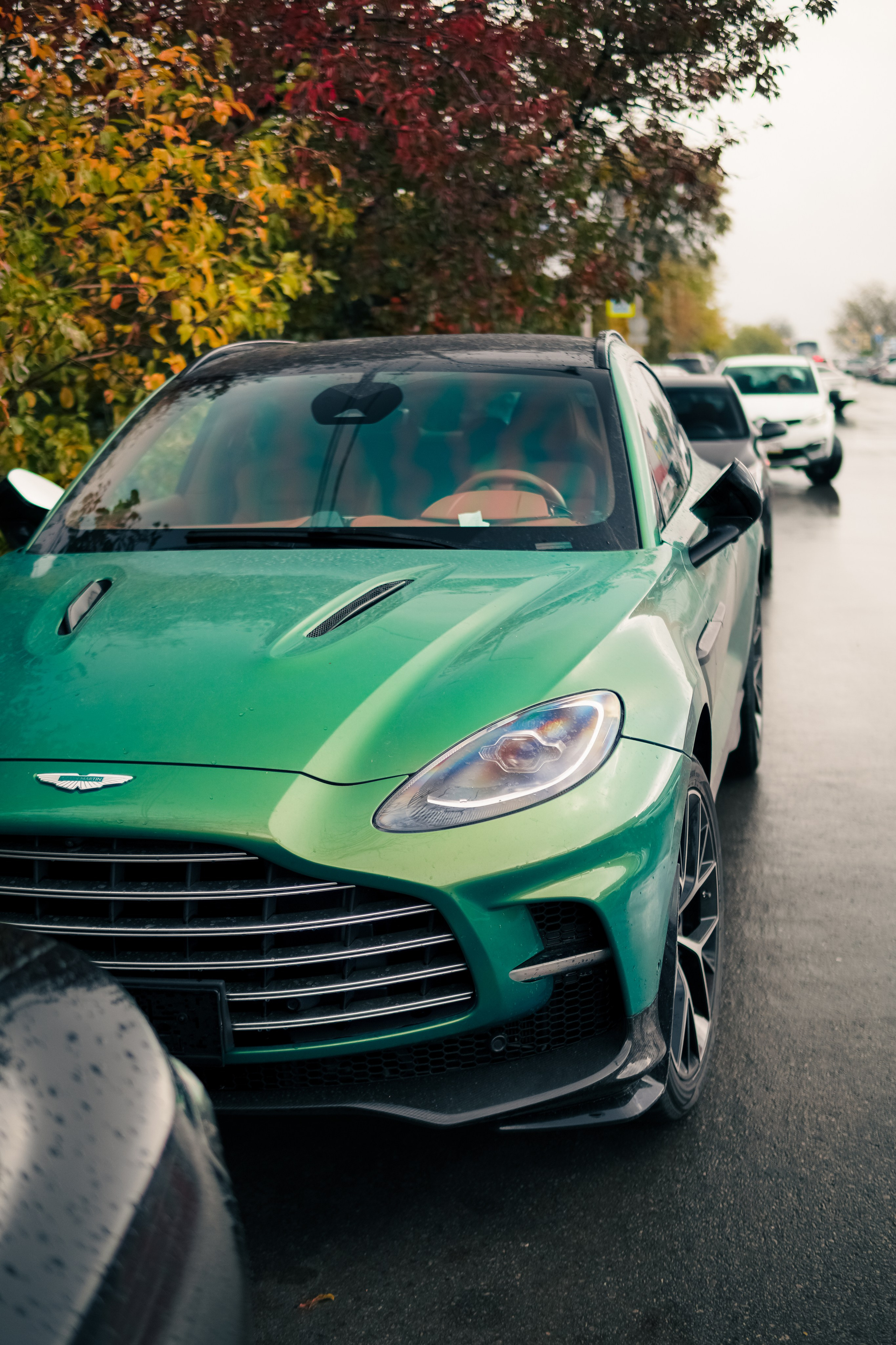 Aston Martin DBX 707. AutoAlexArt