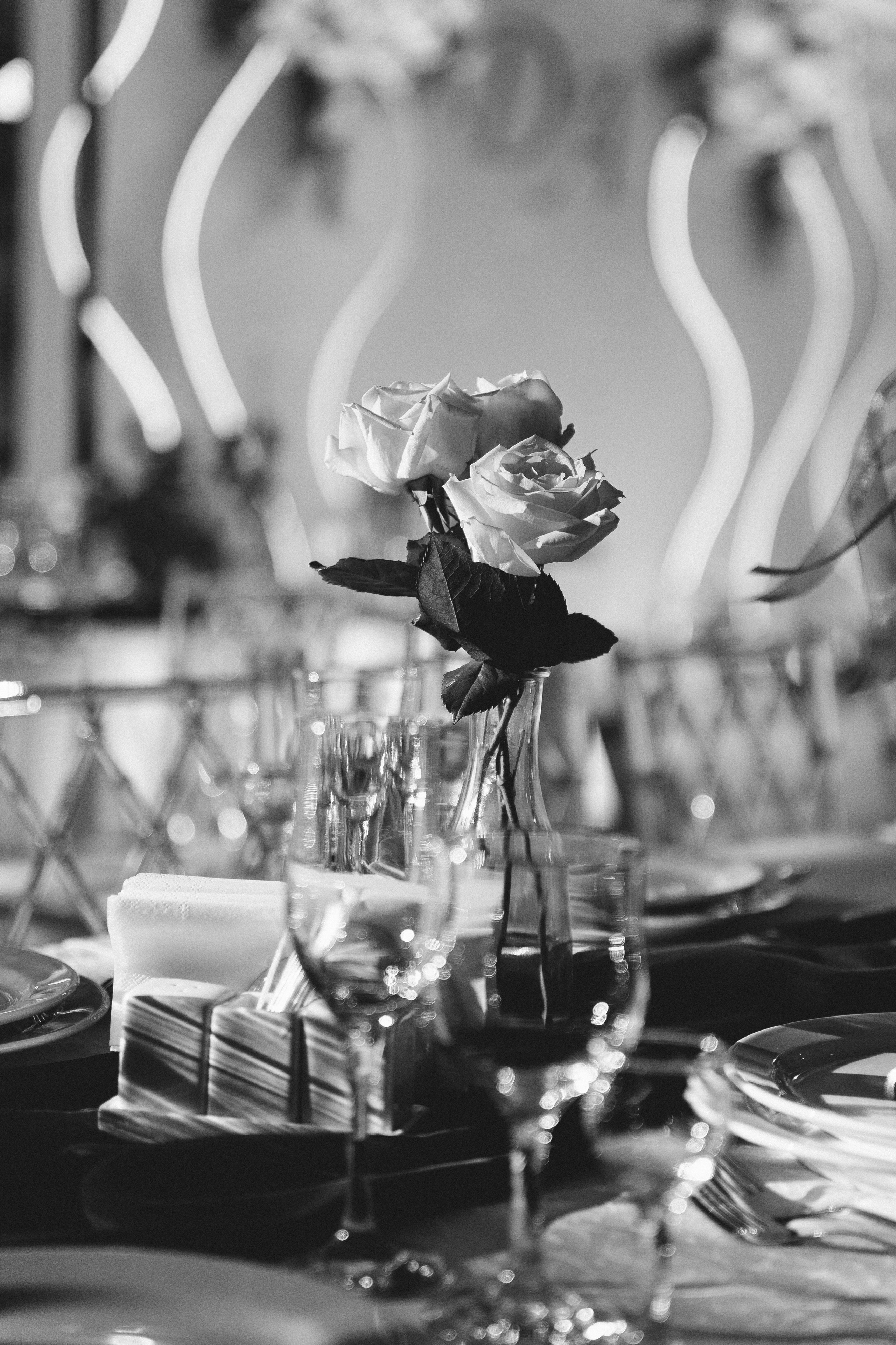 Денис и Анастасия. Семейный и свадебный фотограф в Донецке Елена Гордеева