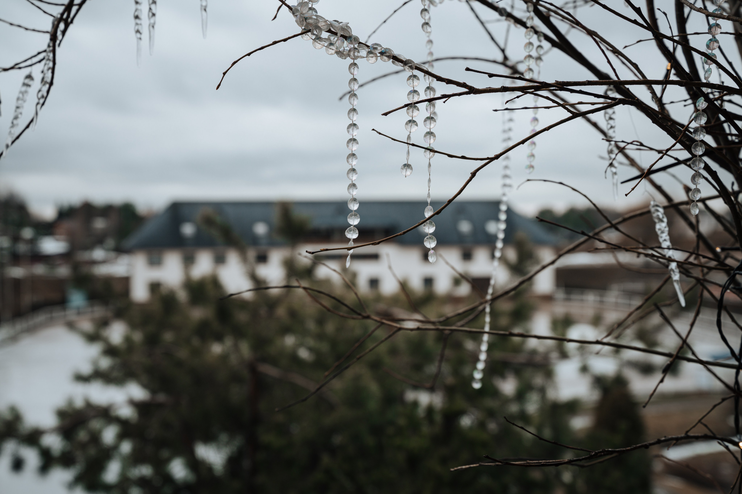Евгения. Конный клуб. Портретный фотограф в Санкт-Петербурге Дмитриева Наталия