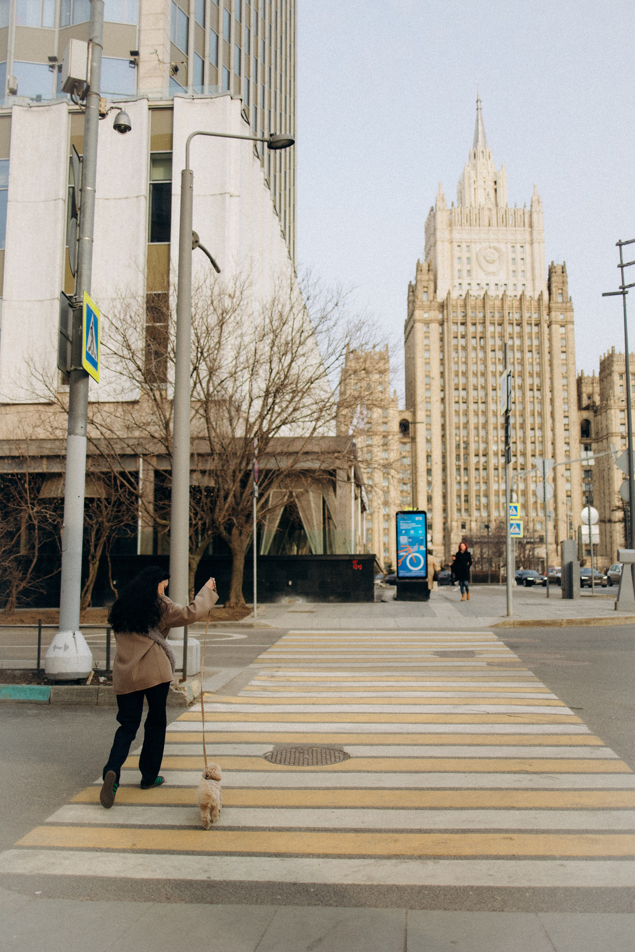 Маша, Лиза и Луна. Фотораф — анималист Мария Шистка