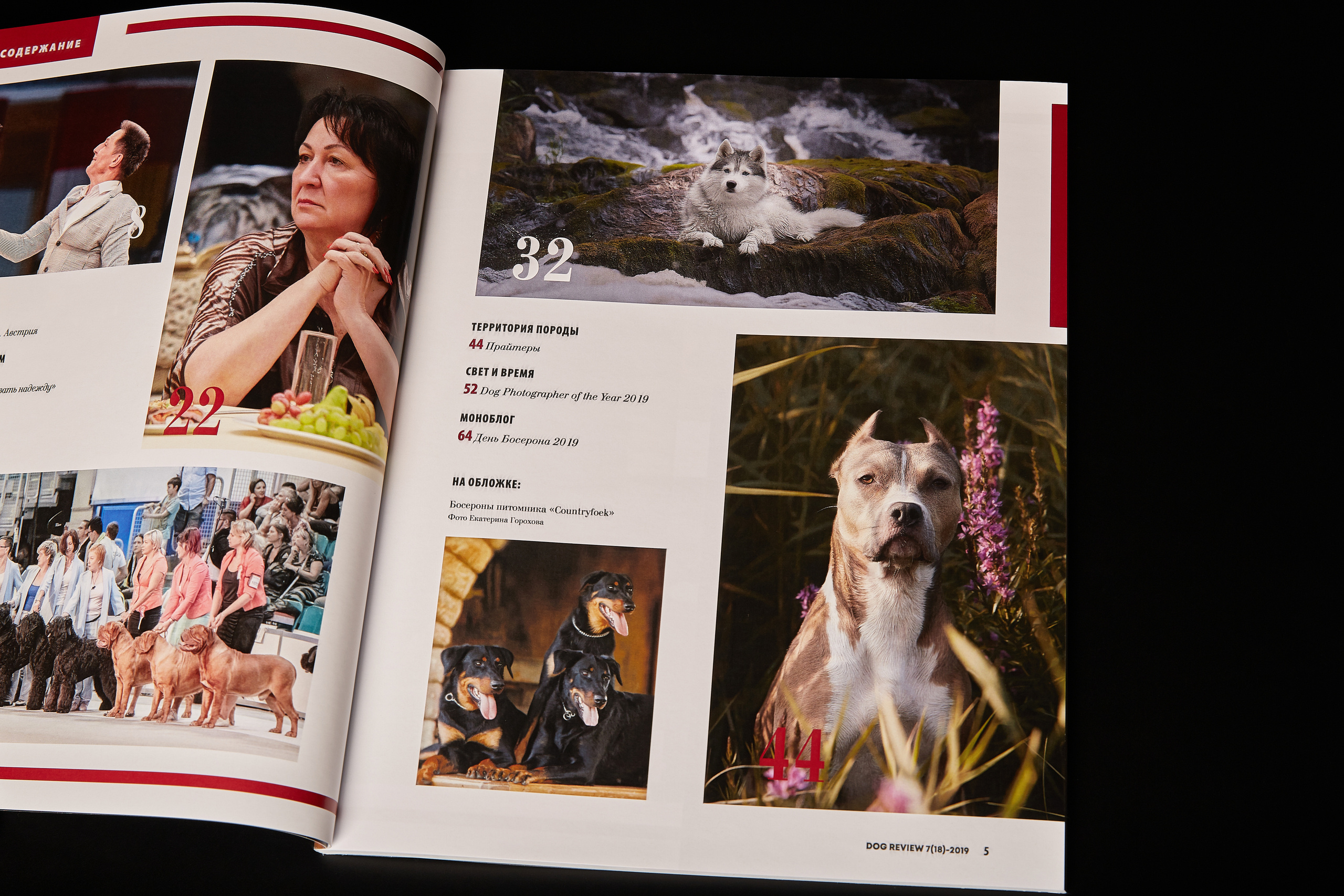 DOGREVIEW #7 (2019), all photos by Lana Polyakova