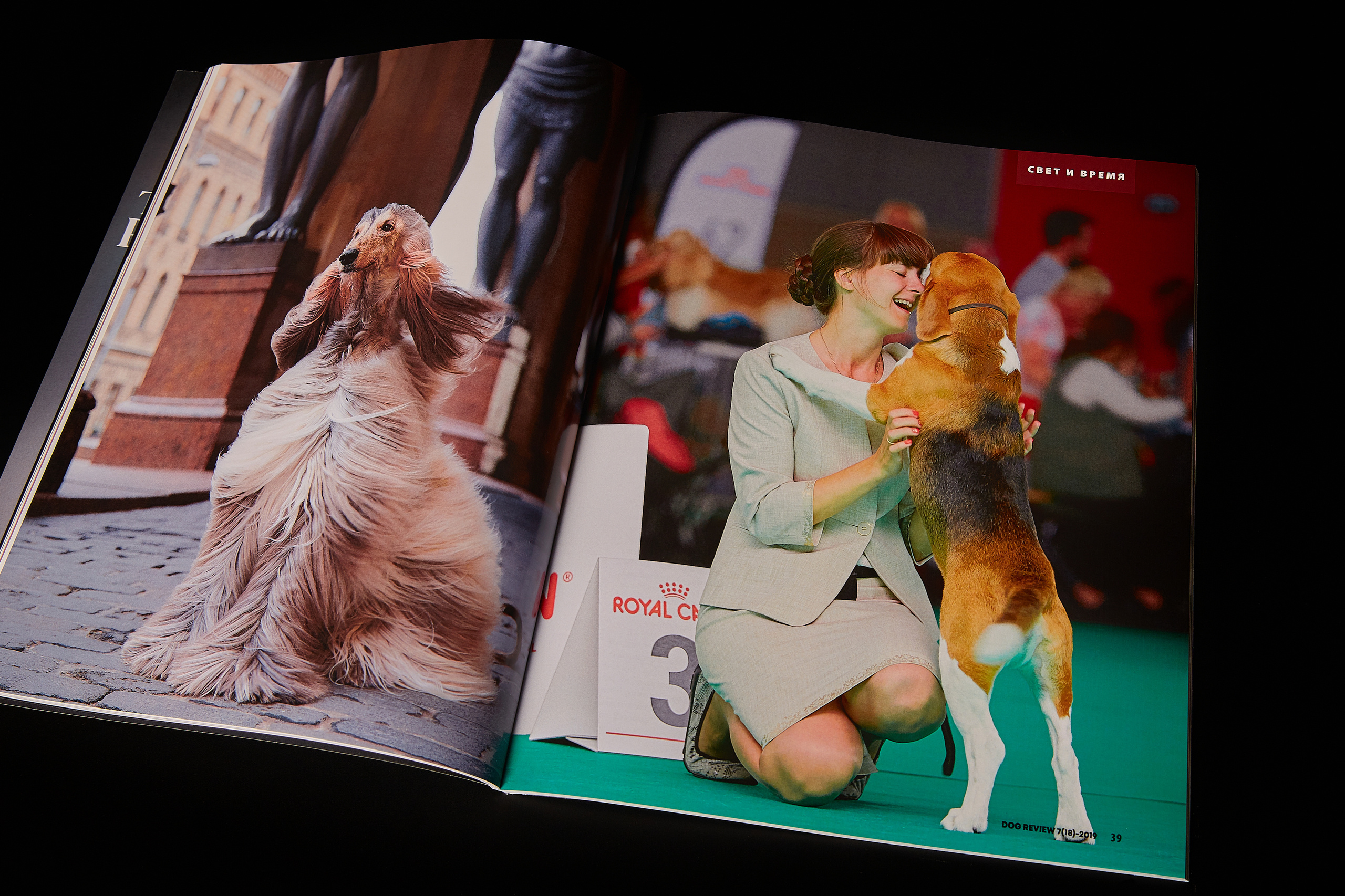 DOGREVIEW #7 (2019), all photos by Lana Polyakova