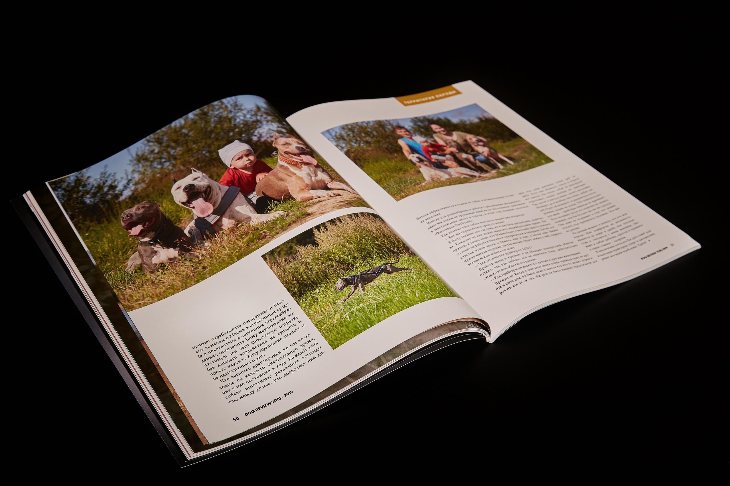 DOGREVIEW #7 (2019), all photos by Lana Polyakova