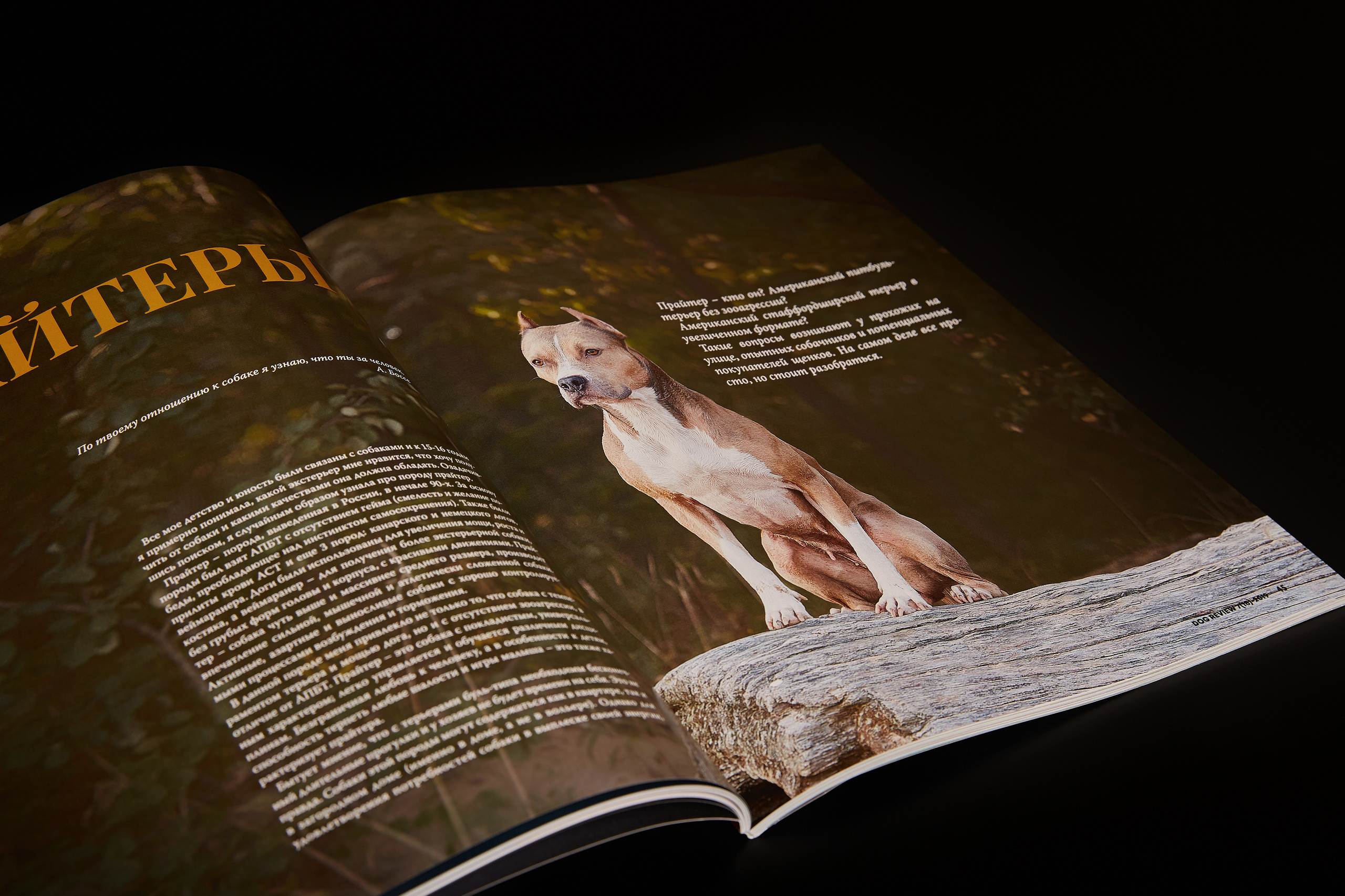 DOGREVIEW #7 (2019), all photos by Lana Polyakova