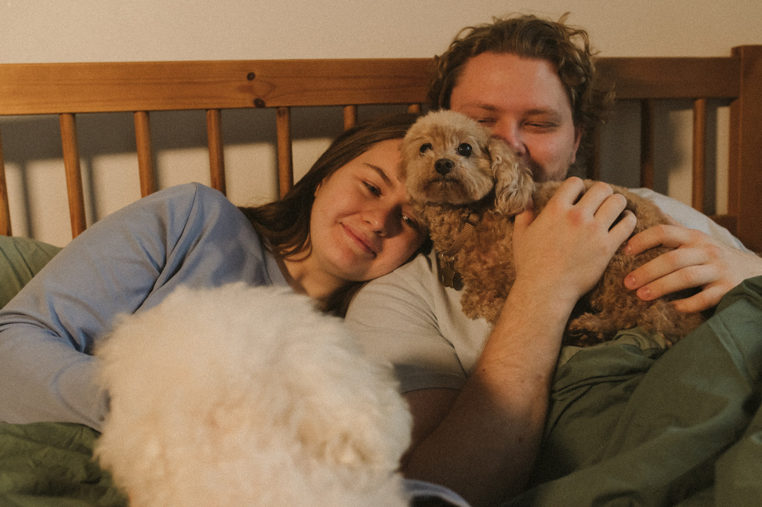 Ання и её кудрявая команда. Фотограф анималист в Москве Ольга Агушева