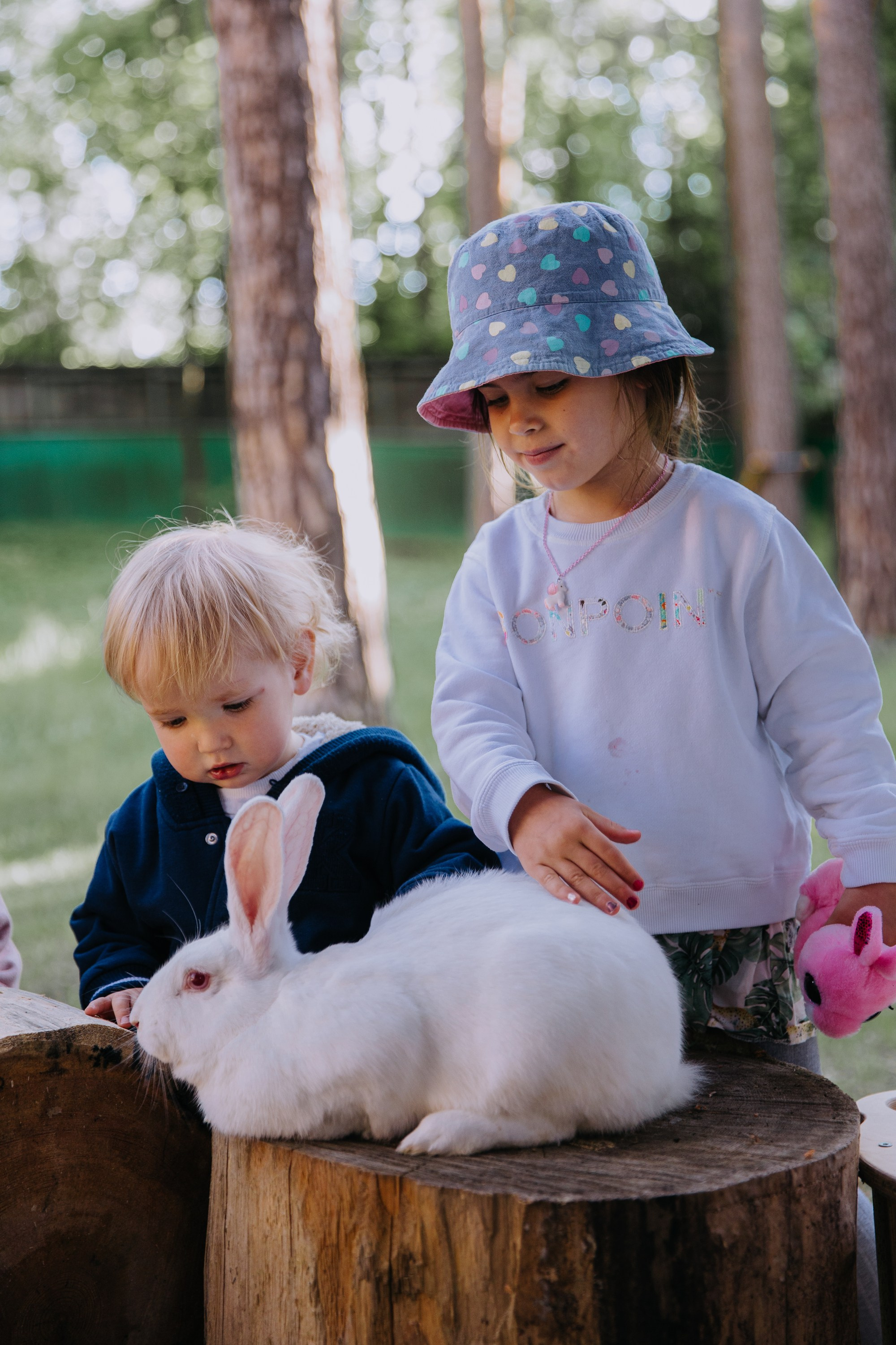 День рождения Мишель. Свадебный фотограф в Москве — Павел Воронцов
