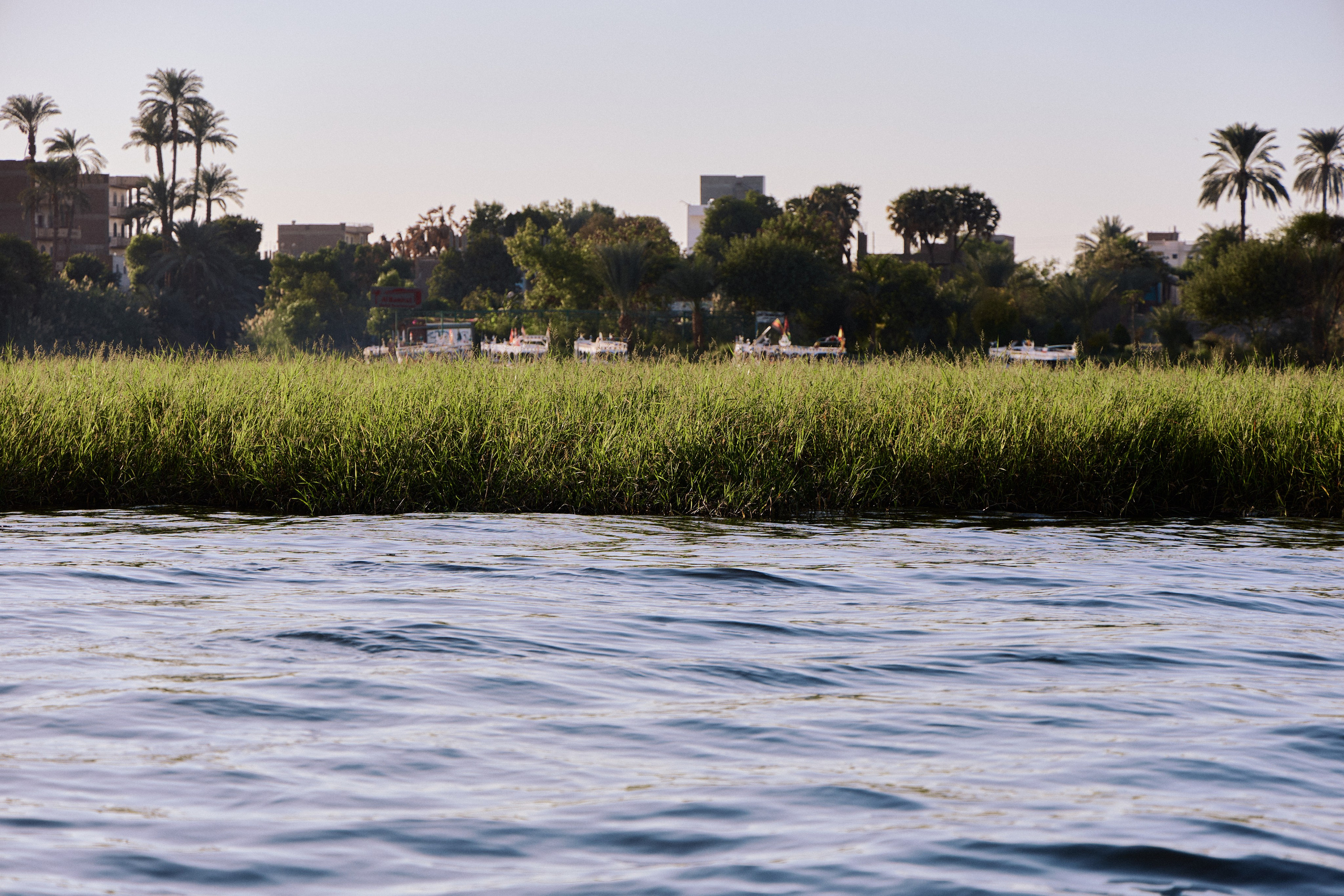 Другое 4. Jorgis — фотограф в Хургаде / обучение фотографии
