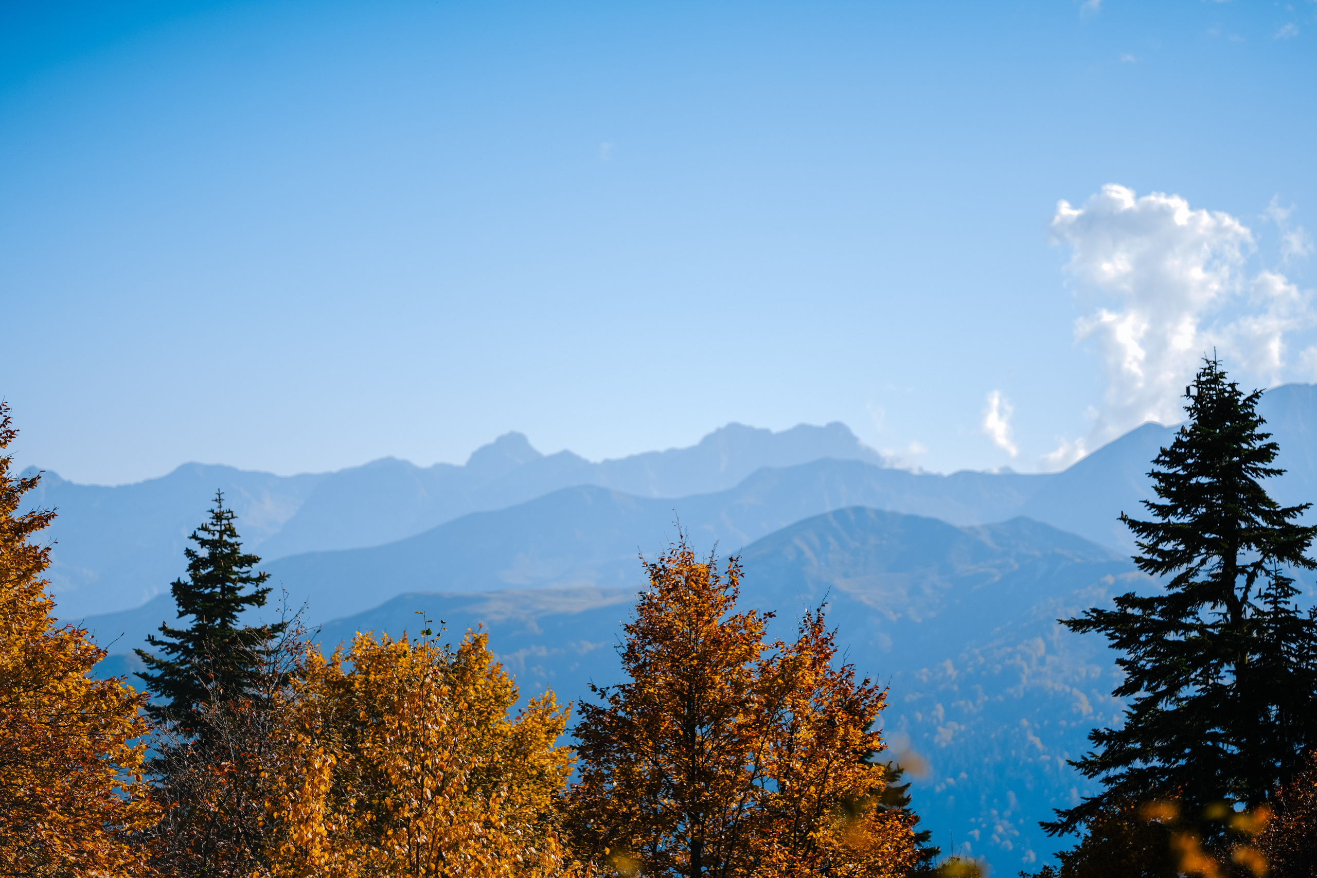 Роза Пик, тропа Турья ✽ Октябрь. Репортажный фотограф | Роза Хутор Красная Поляна Сочи Сириус